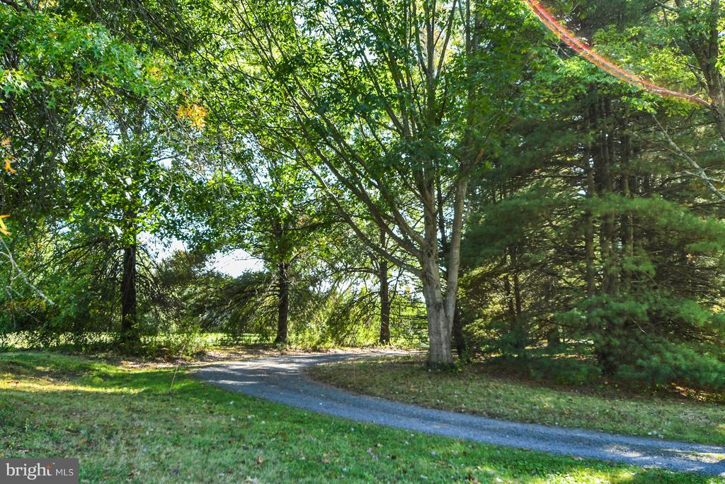 1460 BLUE SCHOOL ROAD