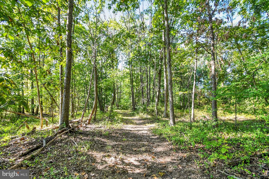 1460 BLUE SCHOOL ROAD