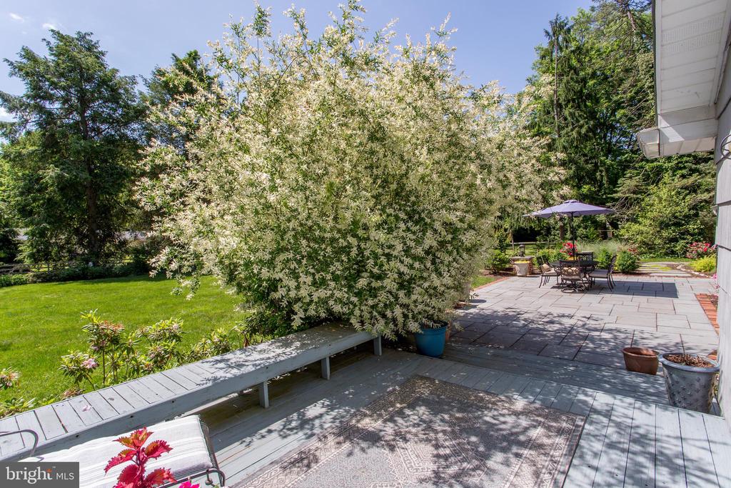67 TOWNVIEW DRIVE