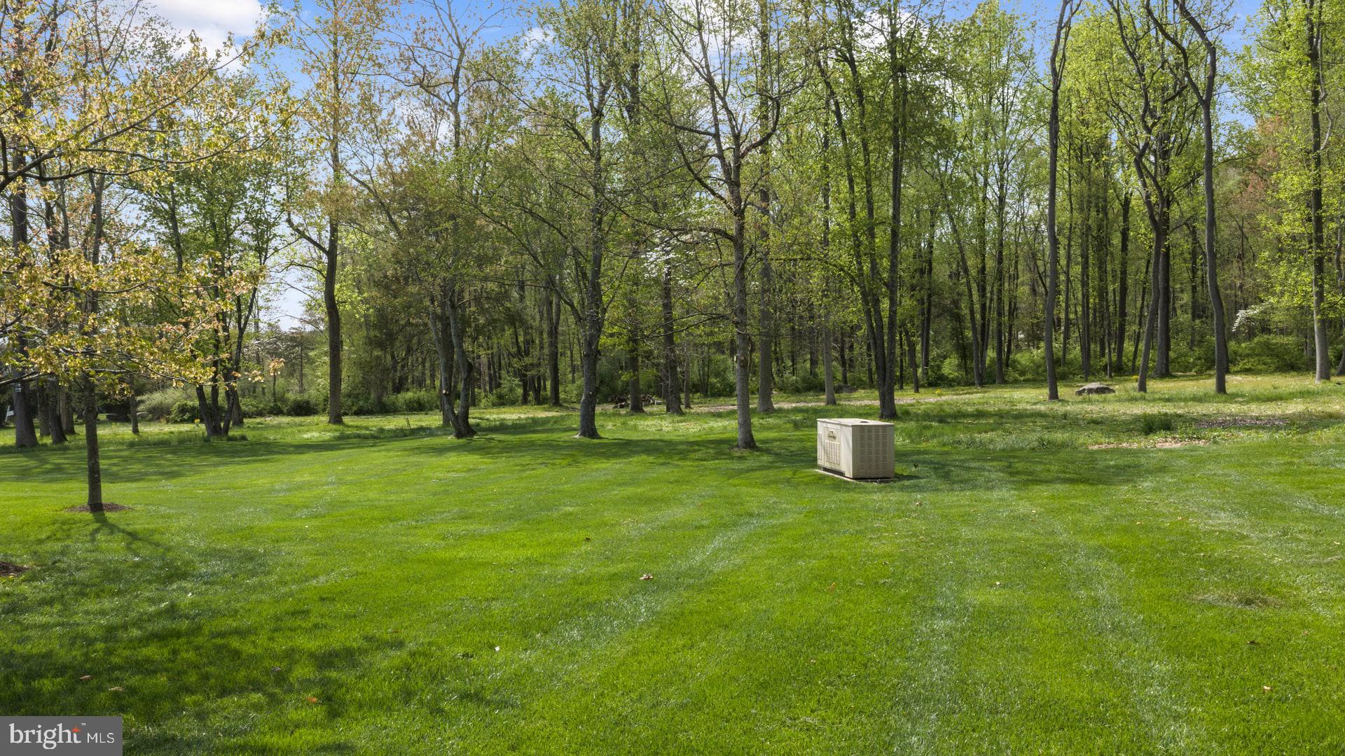 203 WECKS POND