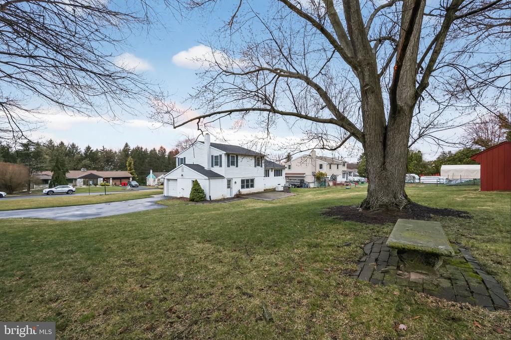 667 LILY ROAD