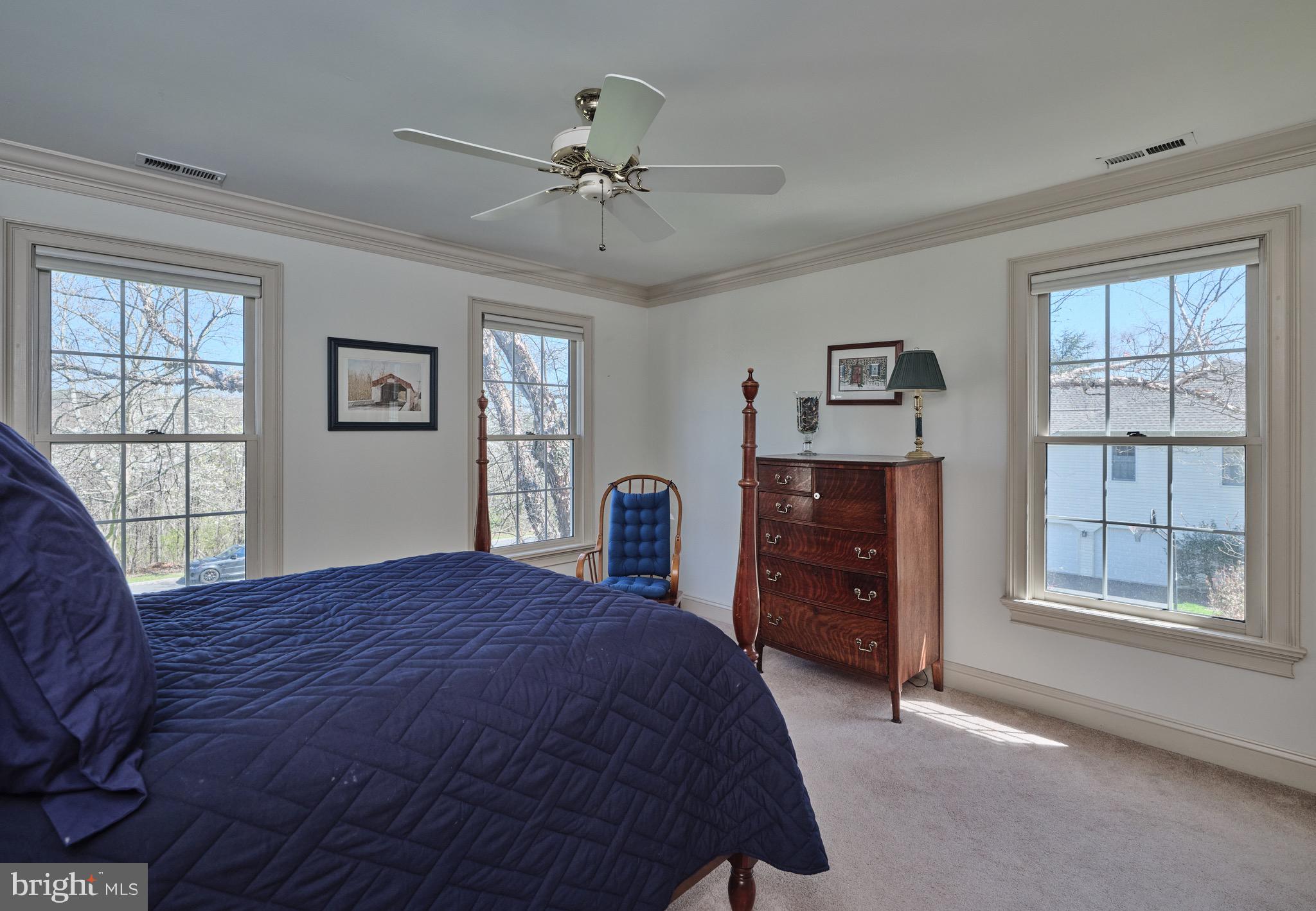 37 ALEXANDERS COURT