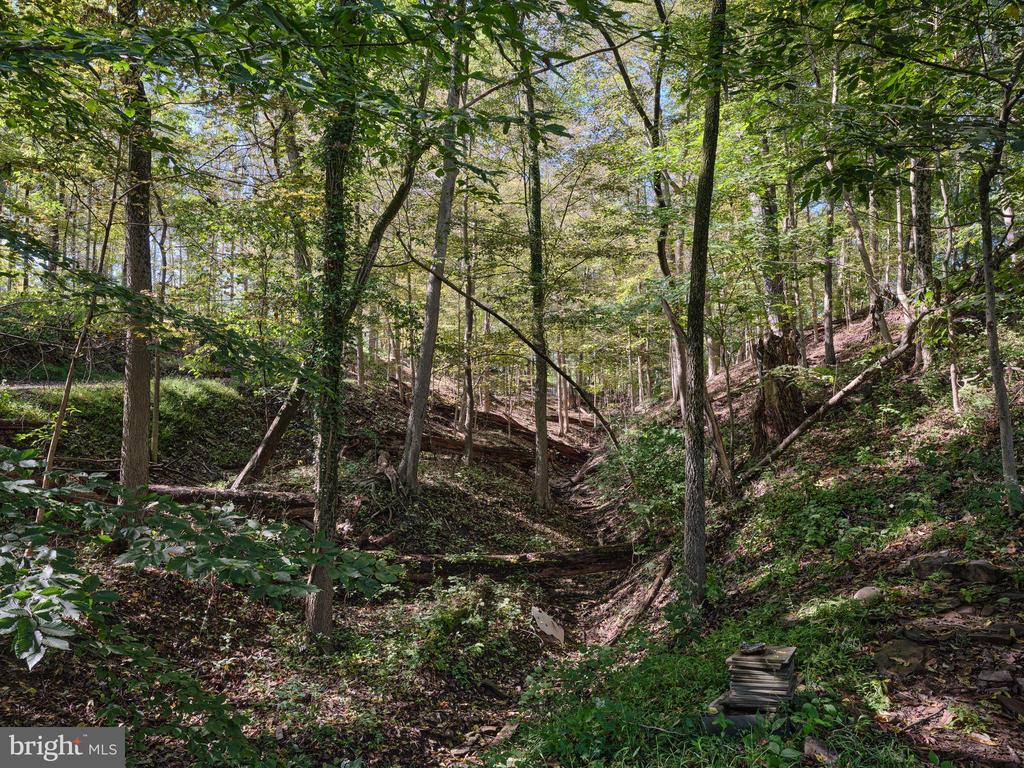 927 TAYLORSVILLE ROAD