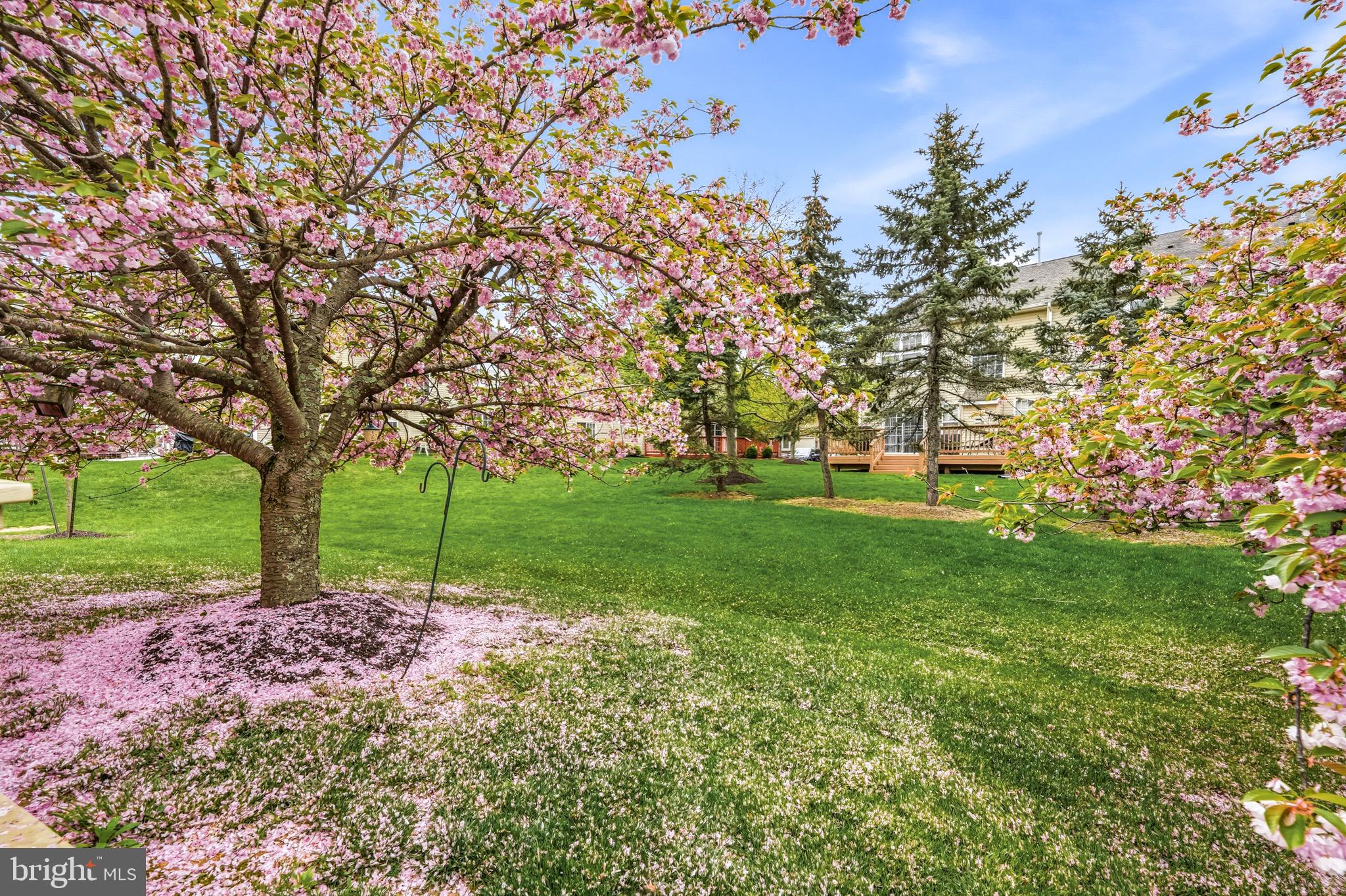 1503 SWEETBRIAR DRIVE