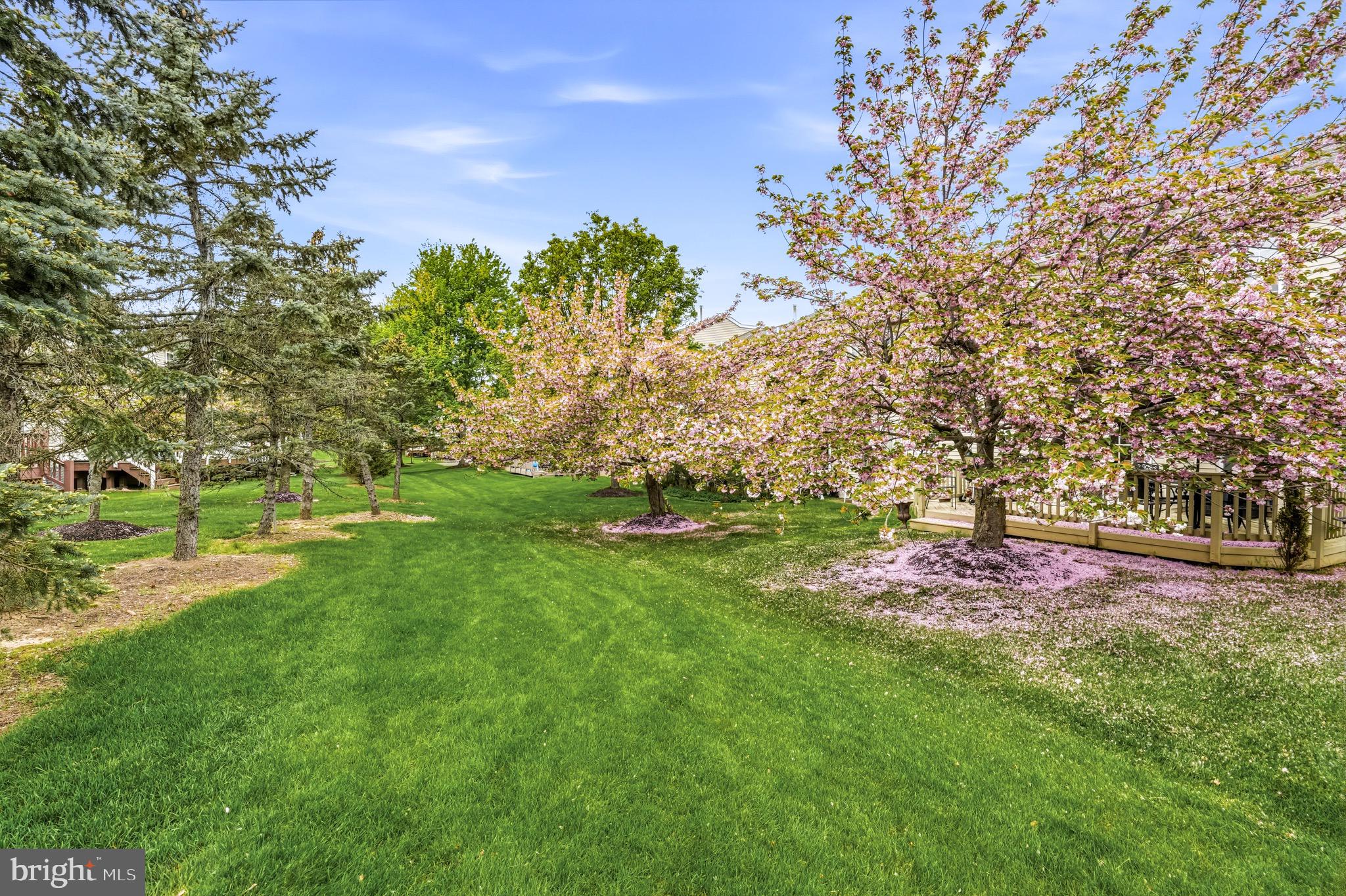 1503 SWEETBRIAR DRIVE
