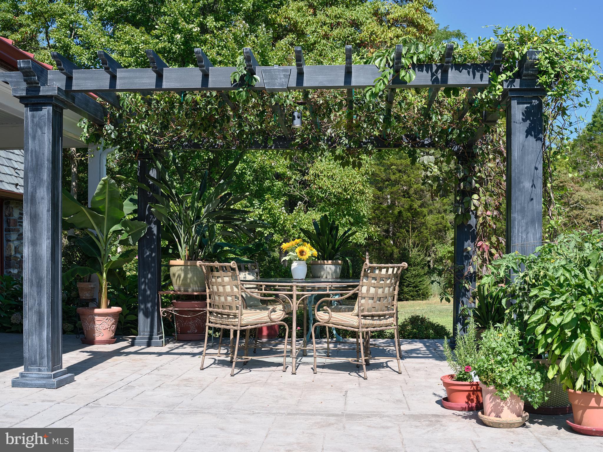 354 CAFFERTY ROAD