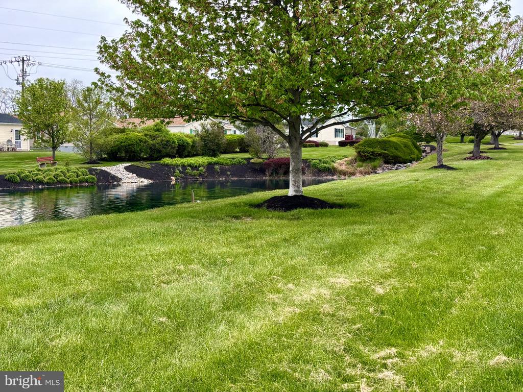 399 SPRING MEADOW CIRCLE CIRCLE