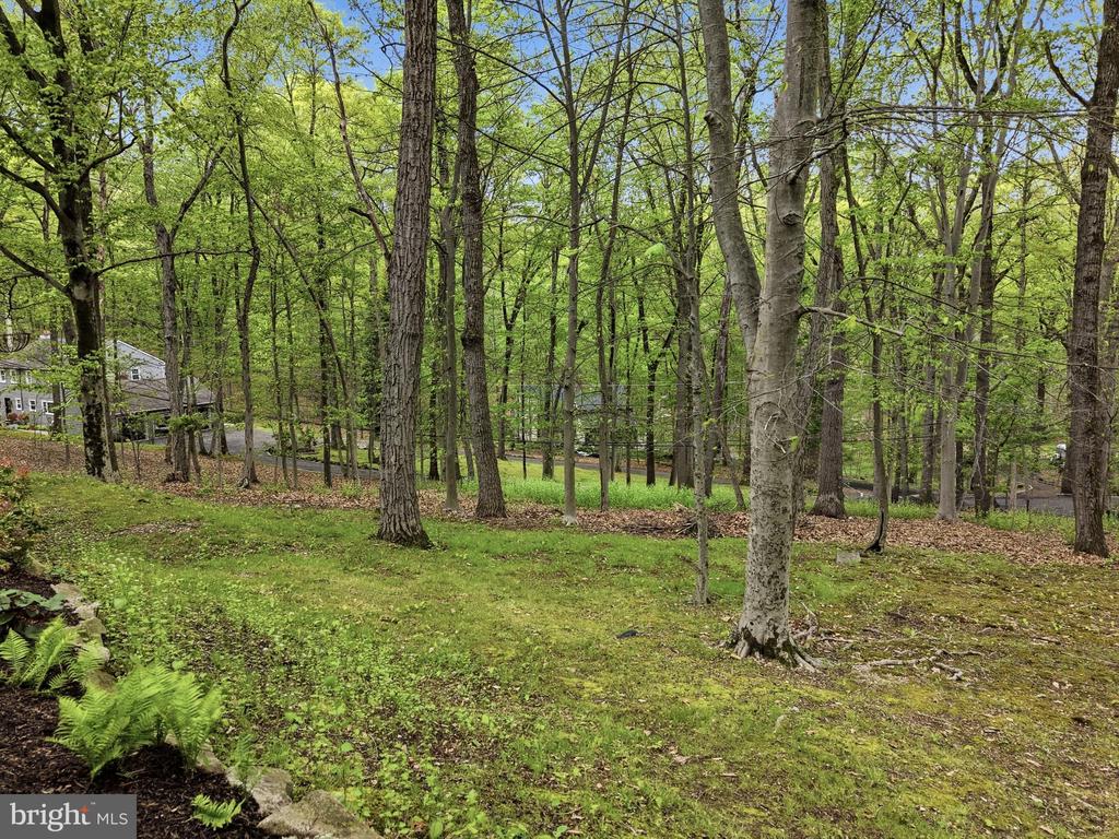 3858 DOGWOOD LANE
