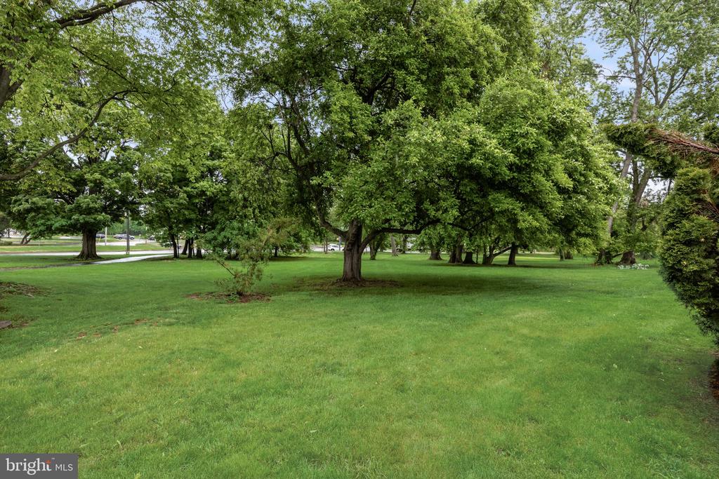679 ROSE HOLLOW DRIVE