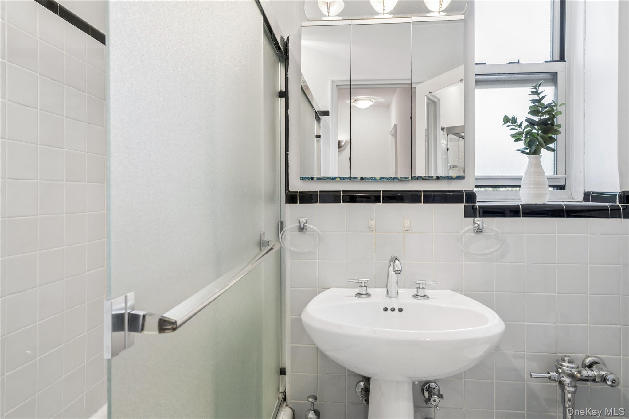 247 Parkview Avenue Unit: 3P