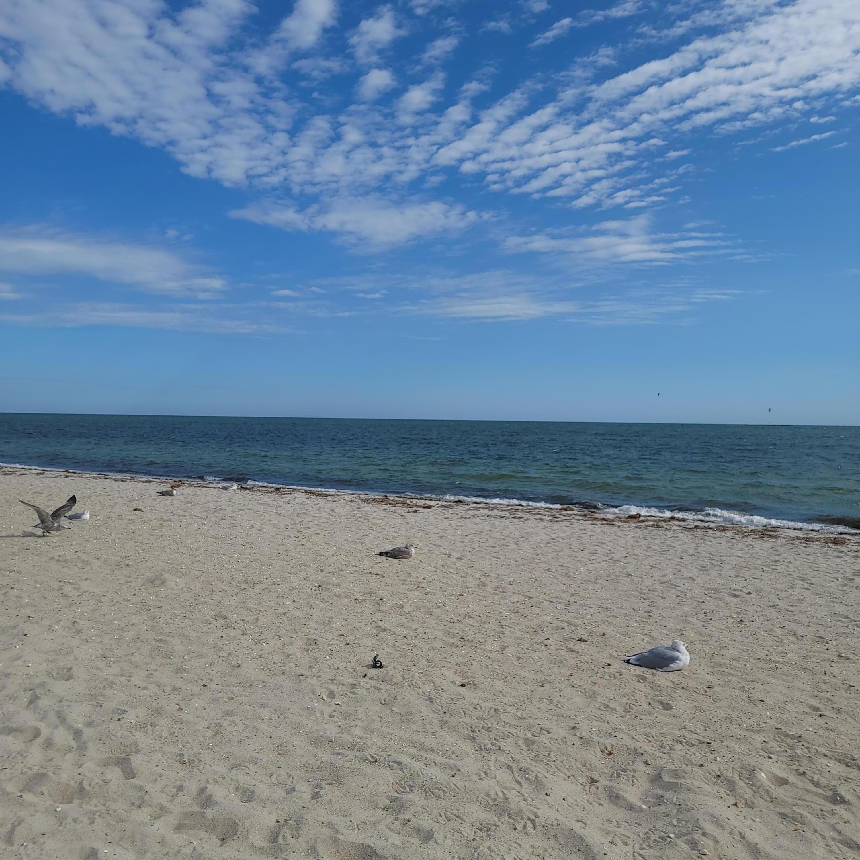 221 Upper County Road # 203