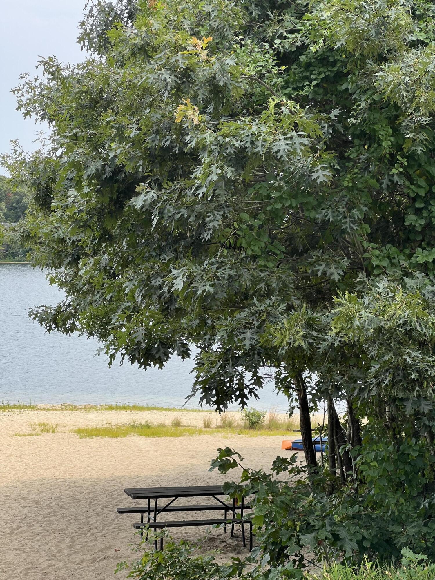 29 Happy Hollow Road