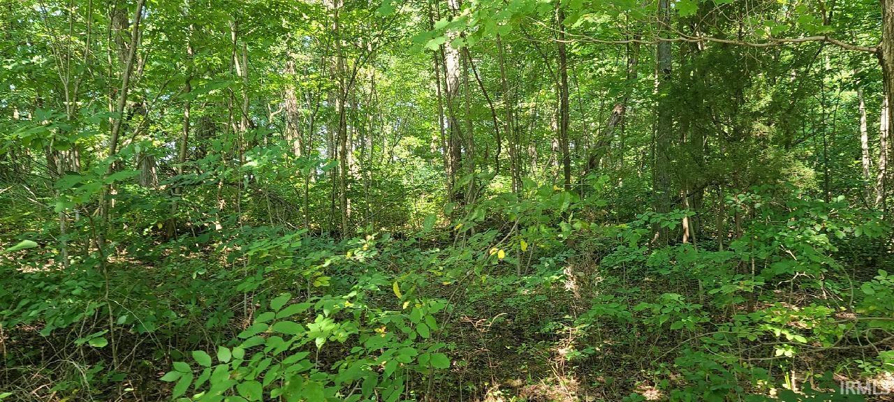 2839 Fort Ritner Road