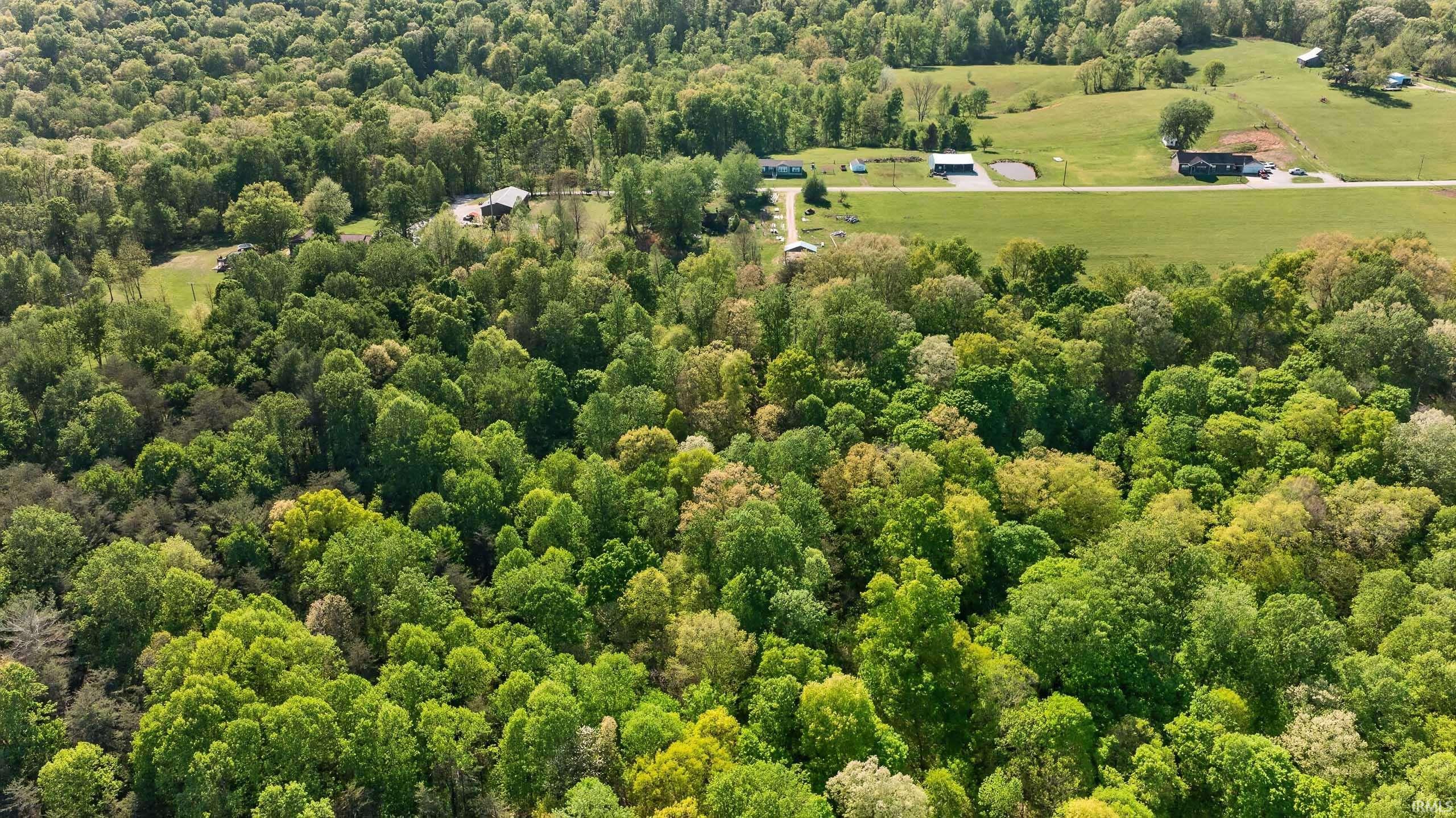 592 Dillman Road