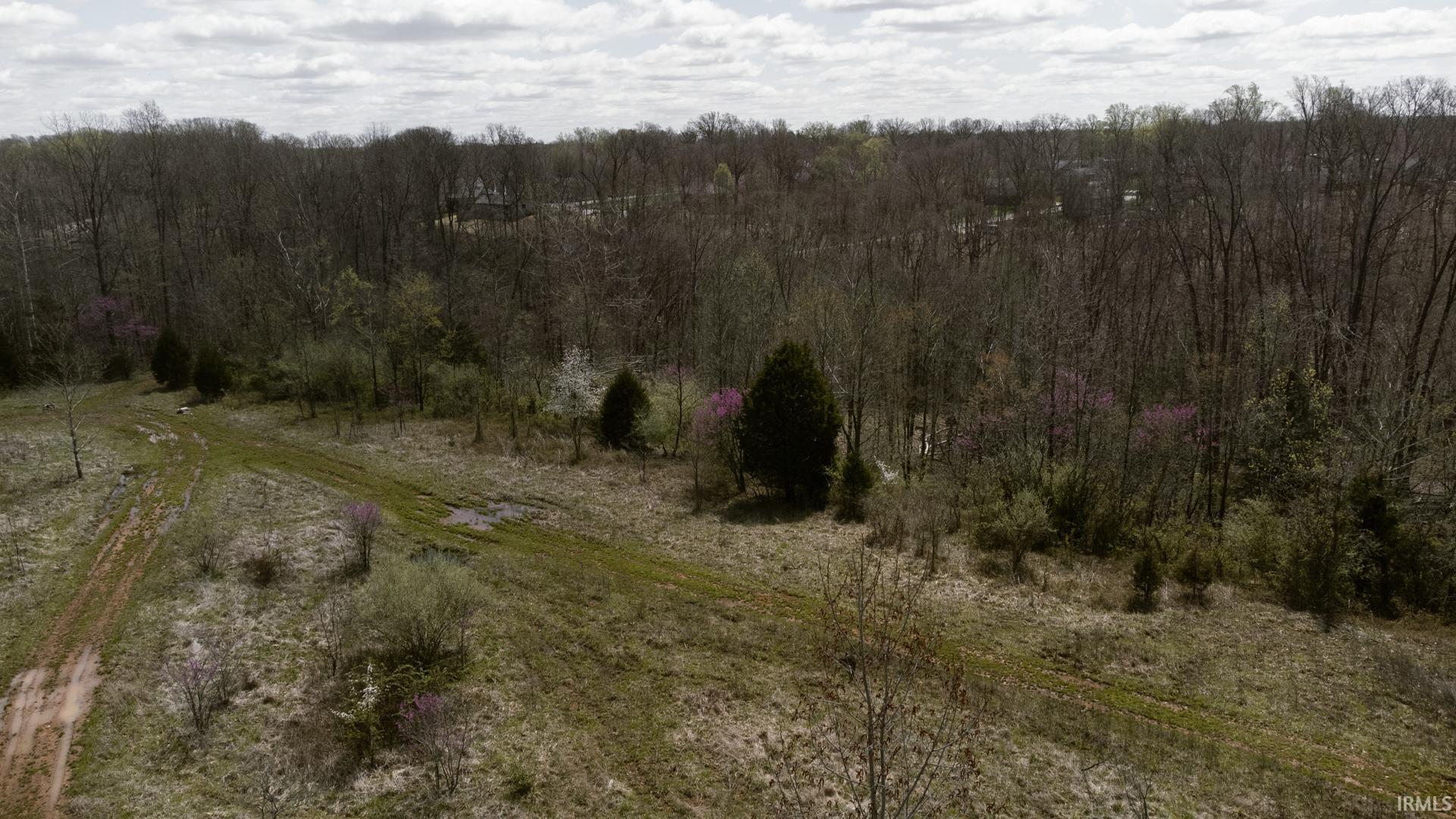 3324 Patrick Robbins Way