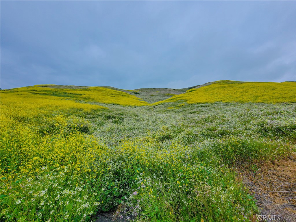 4450 Autumn Glow Court