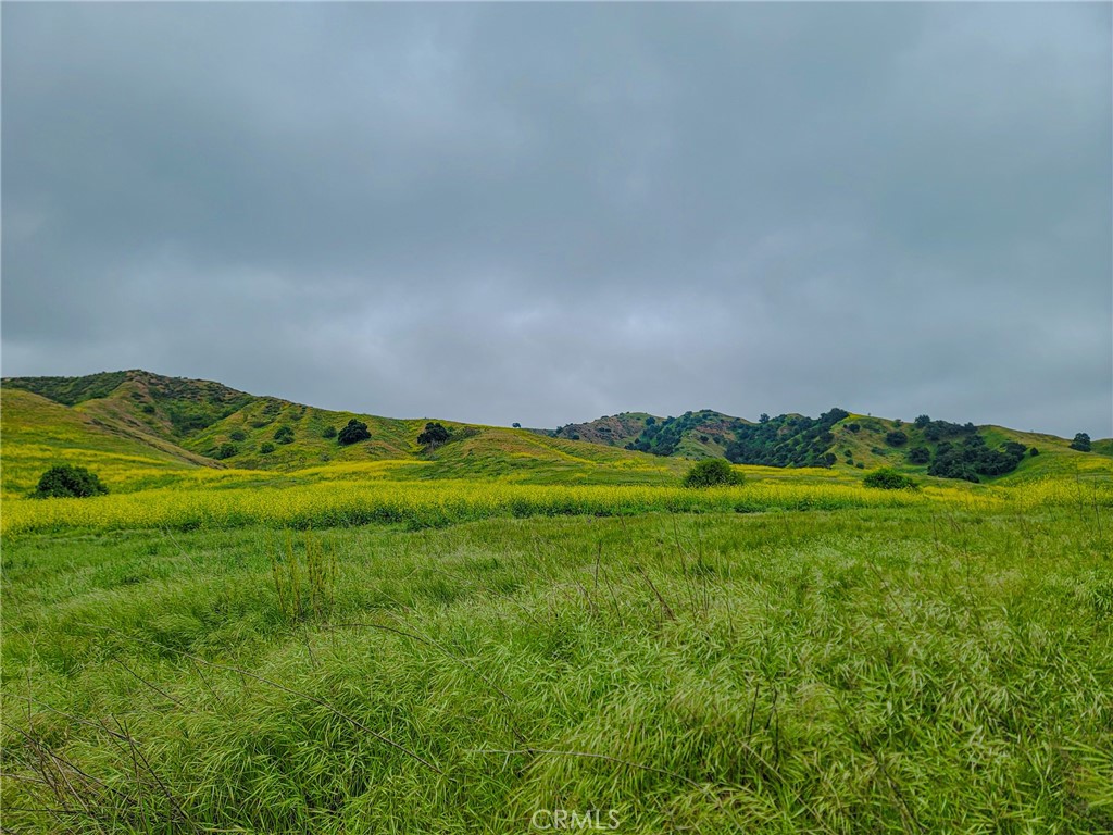 4450 Autumn Glow Court