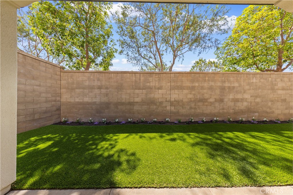 53 Cherry Tree