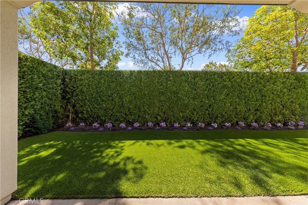 53 Cherry Tree