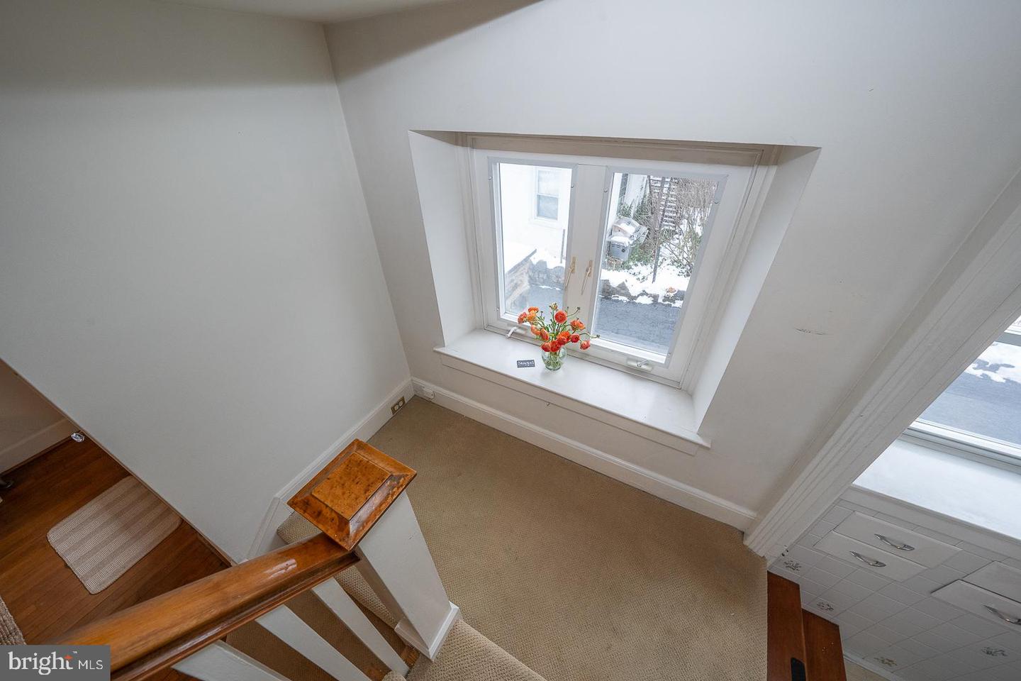 15 Woodbine Ave