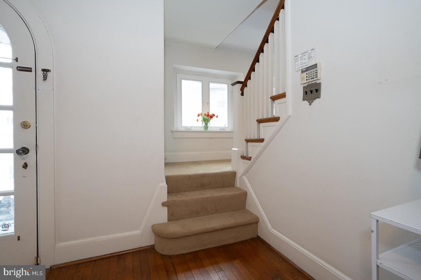 15 Woodbine Ave