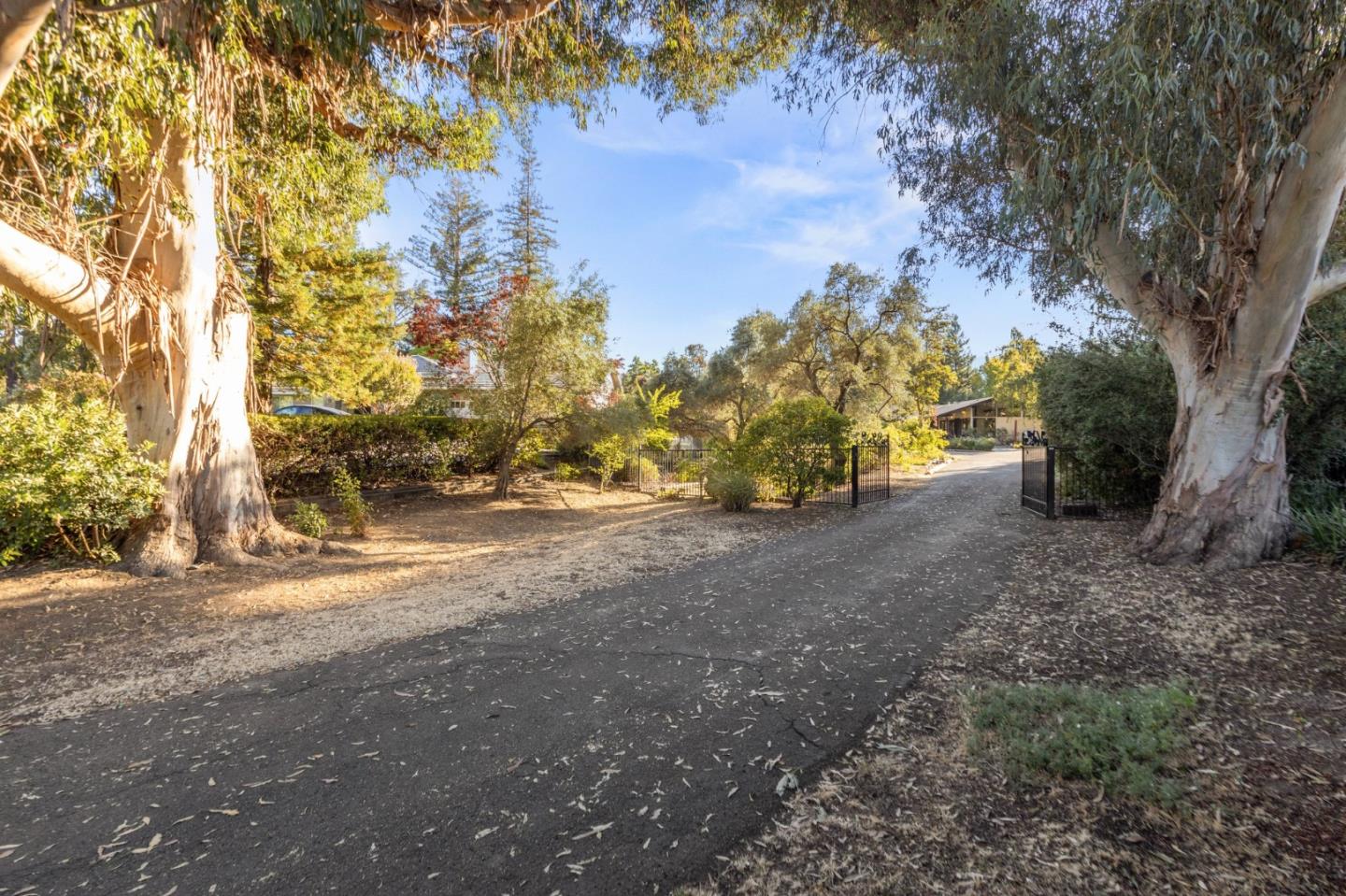 17664 Blanchard Drive