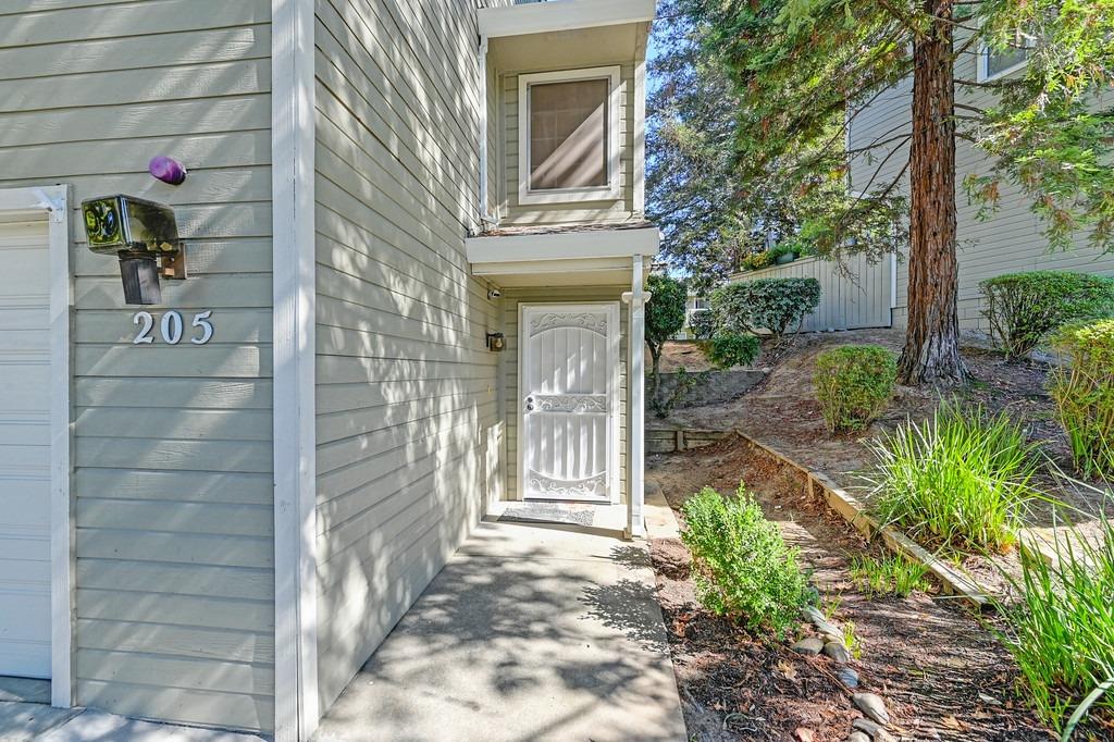 205 Live Oak Circle 48