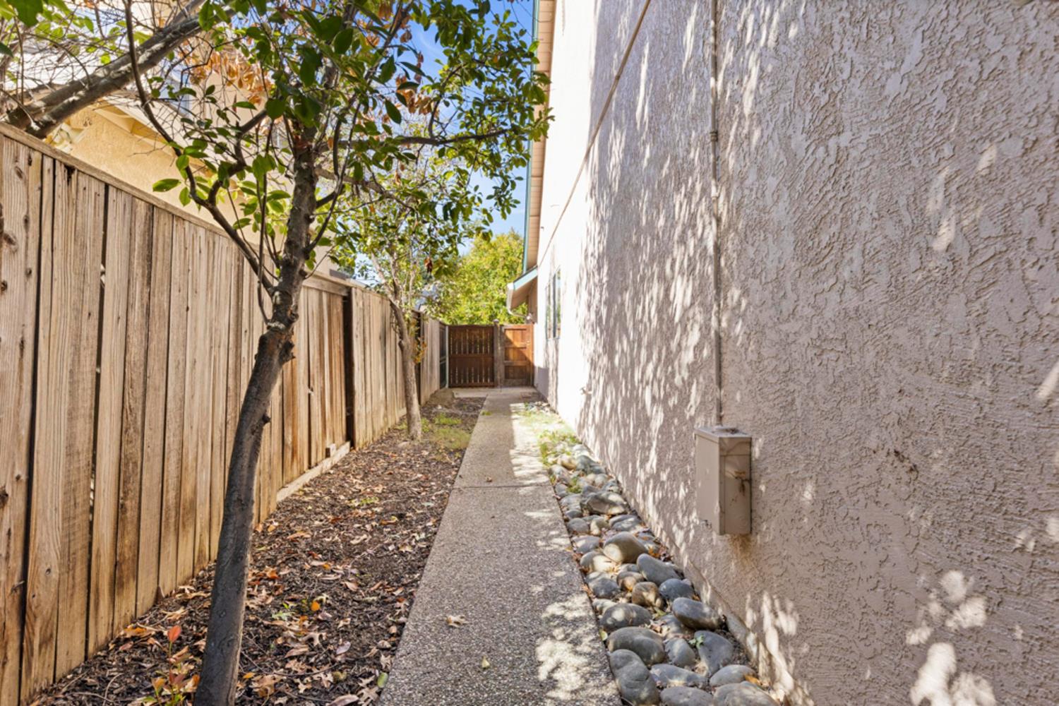 Side yard walkway between a wooden fence and stucco wall, leading to a wooden gate beneath a shade tree.