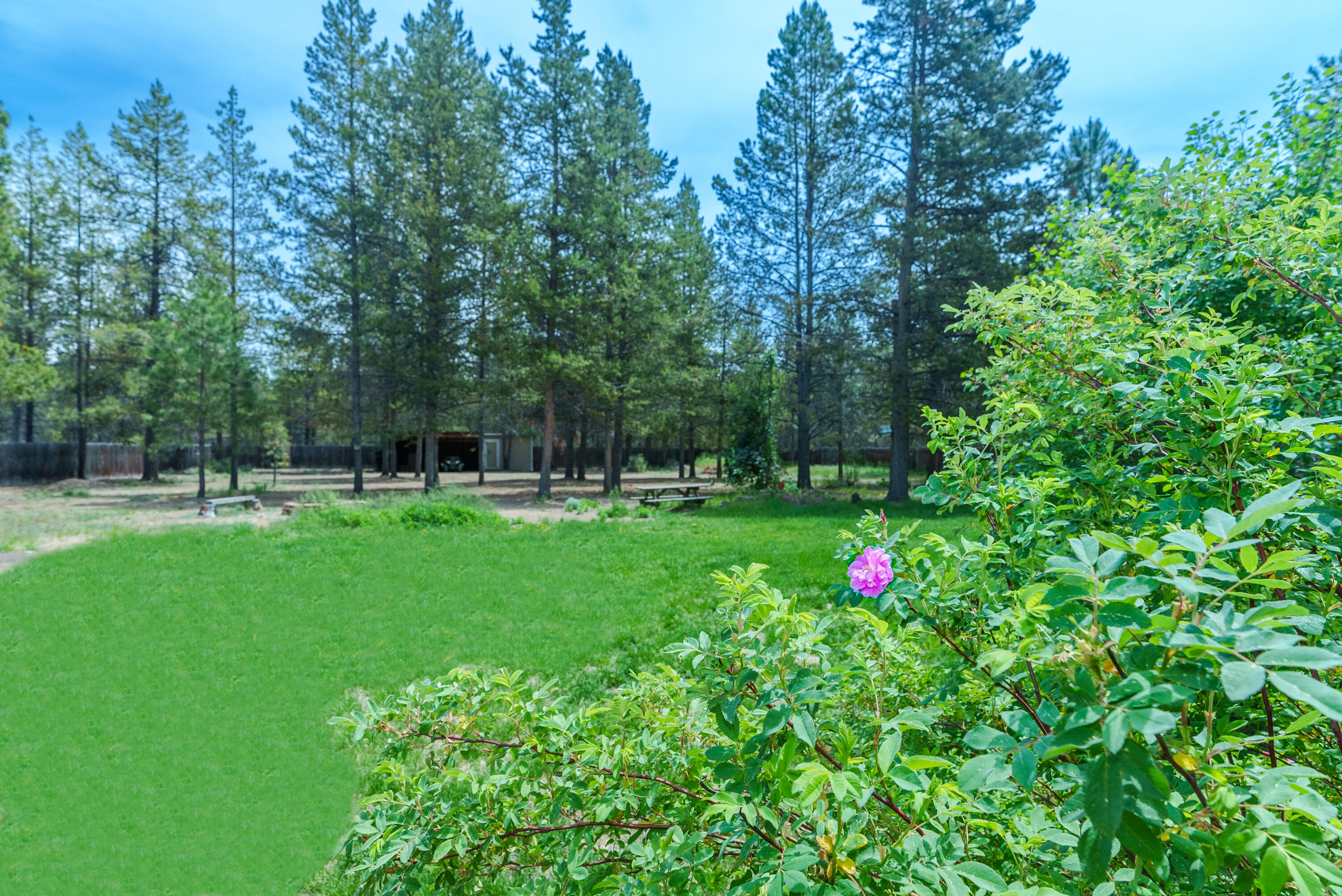 53462 Kokanee Lane