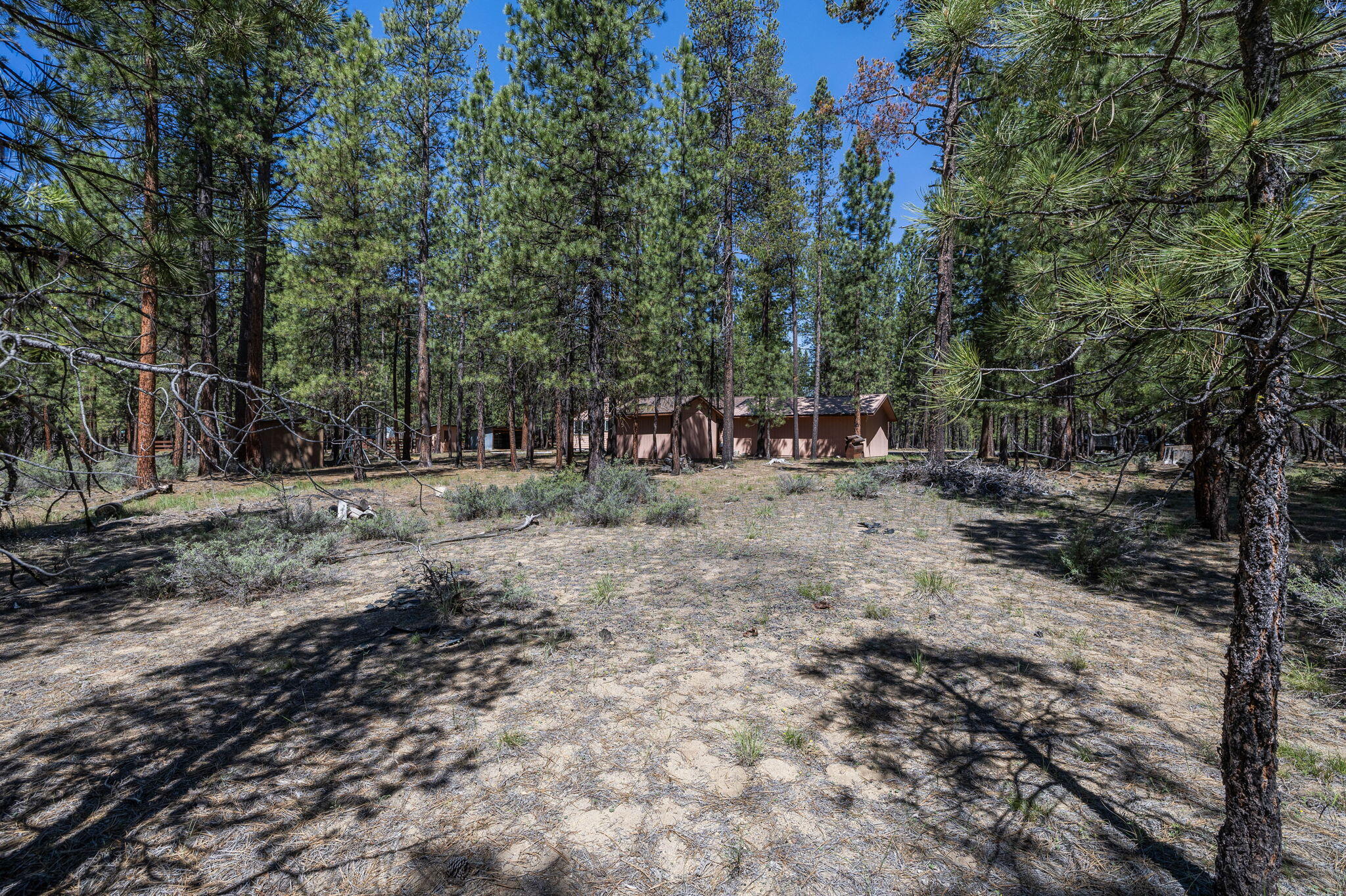 51885 Pine Loop Drive