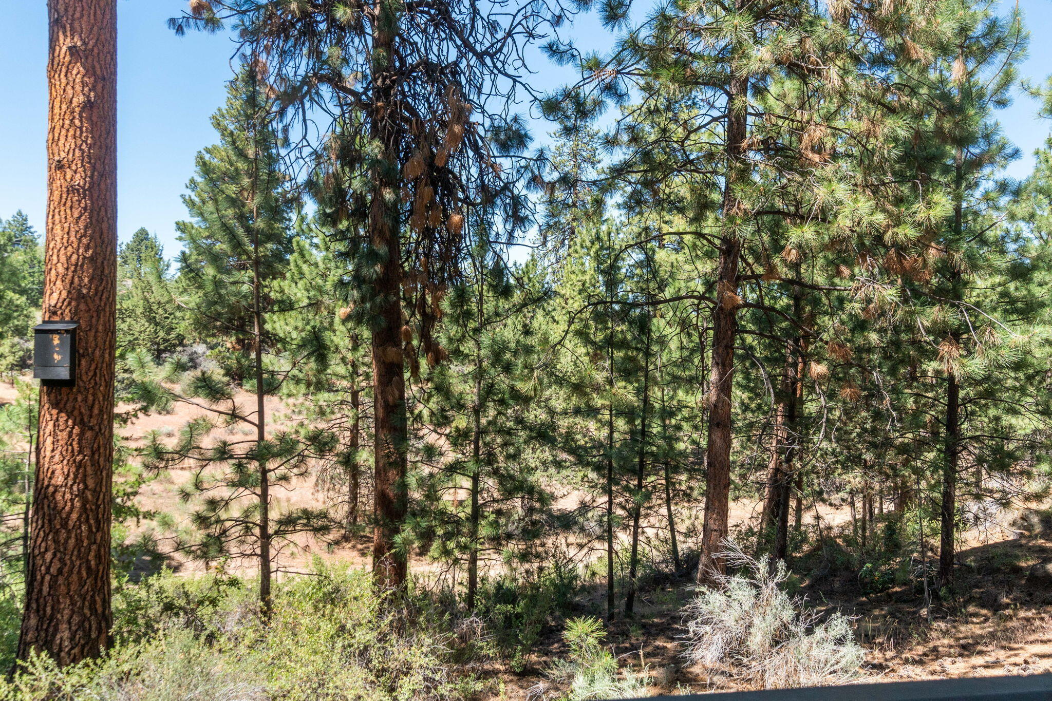 19717 SW Mount Bachelor Drive, UNIT 103