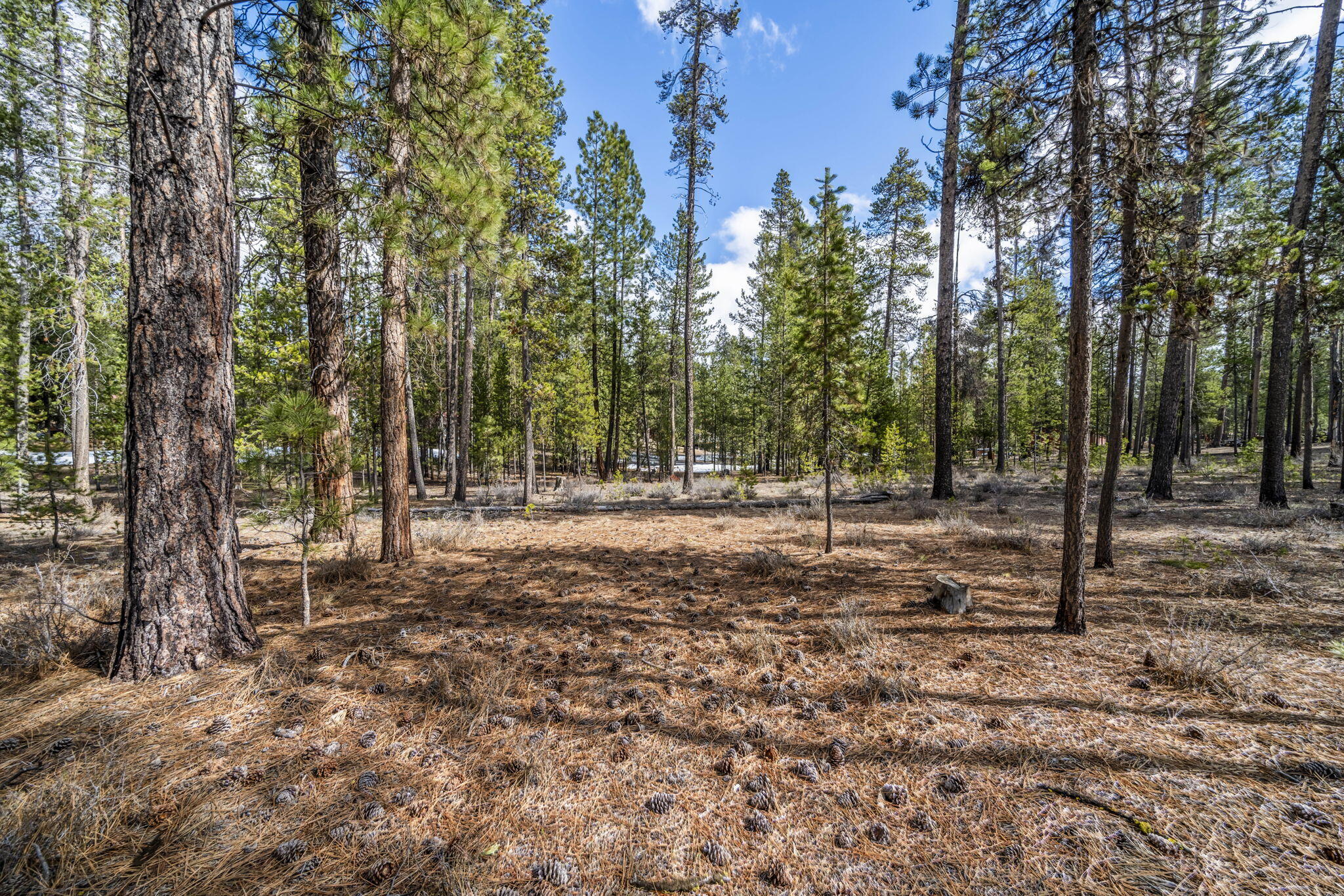 54809 Mountain View Road