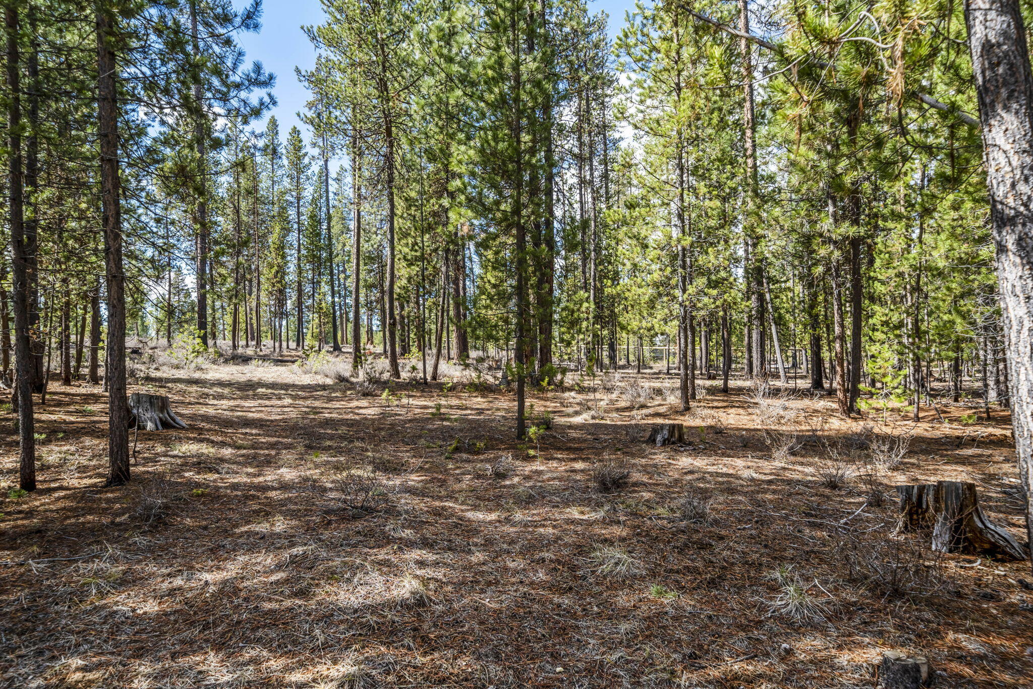 54809 Mountain View Road
