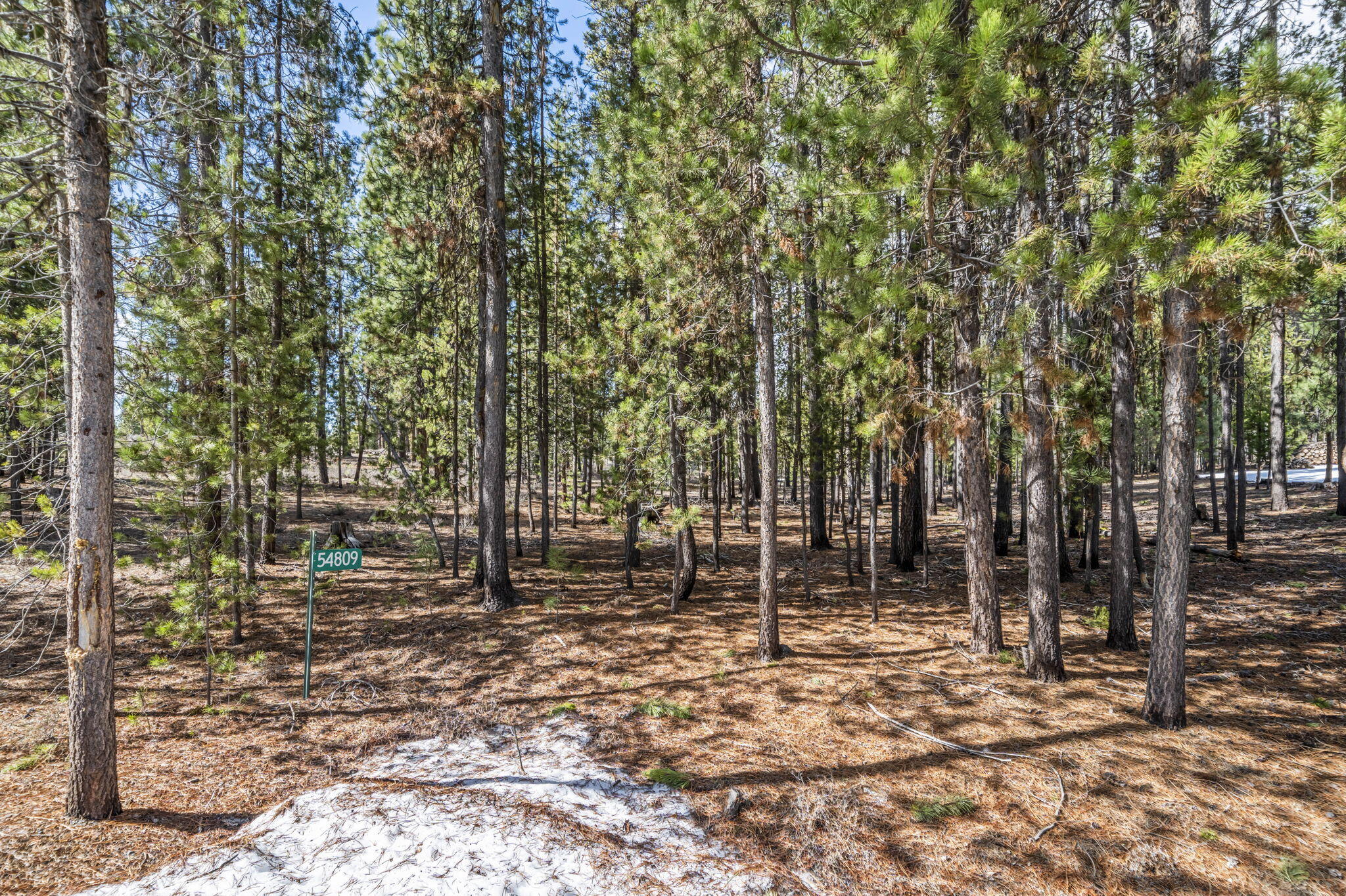 54809 Mountain View Road