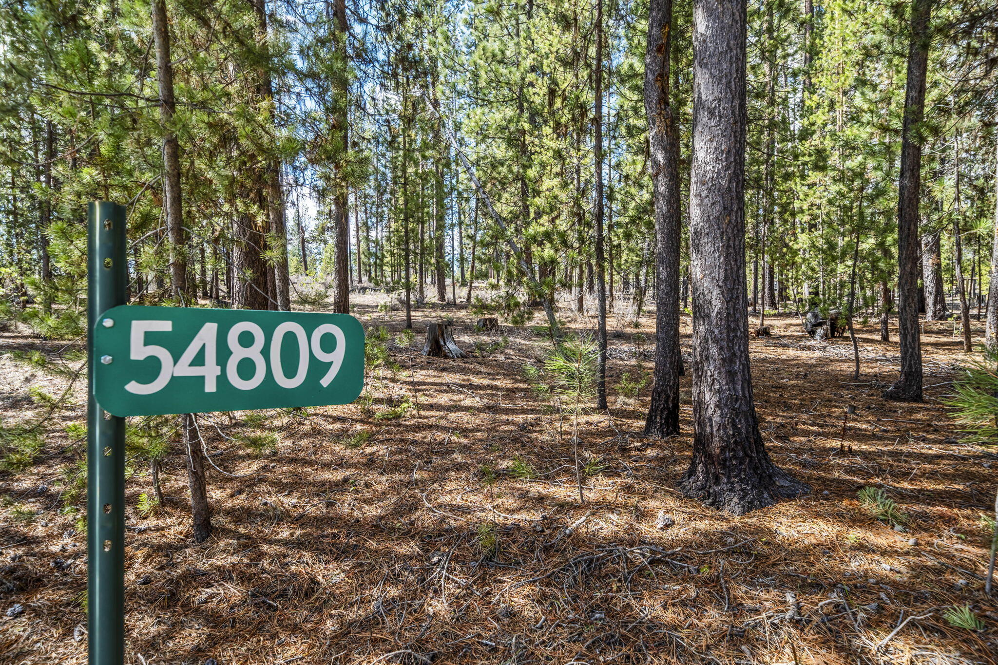 54809 Mountain View Road