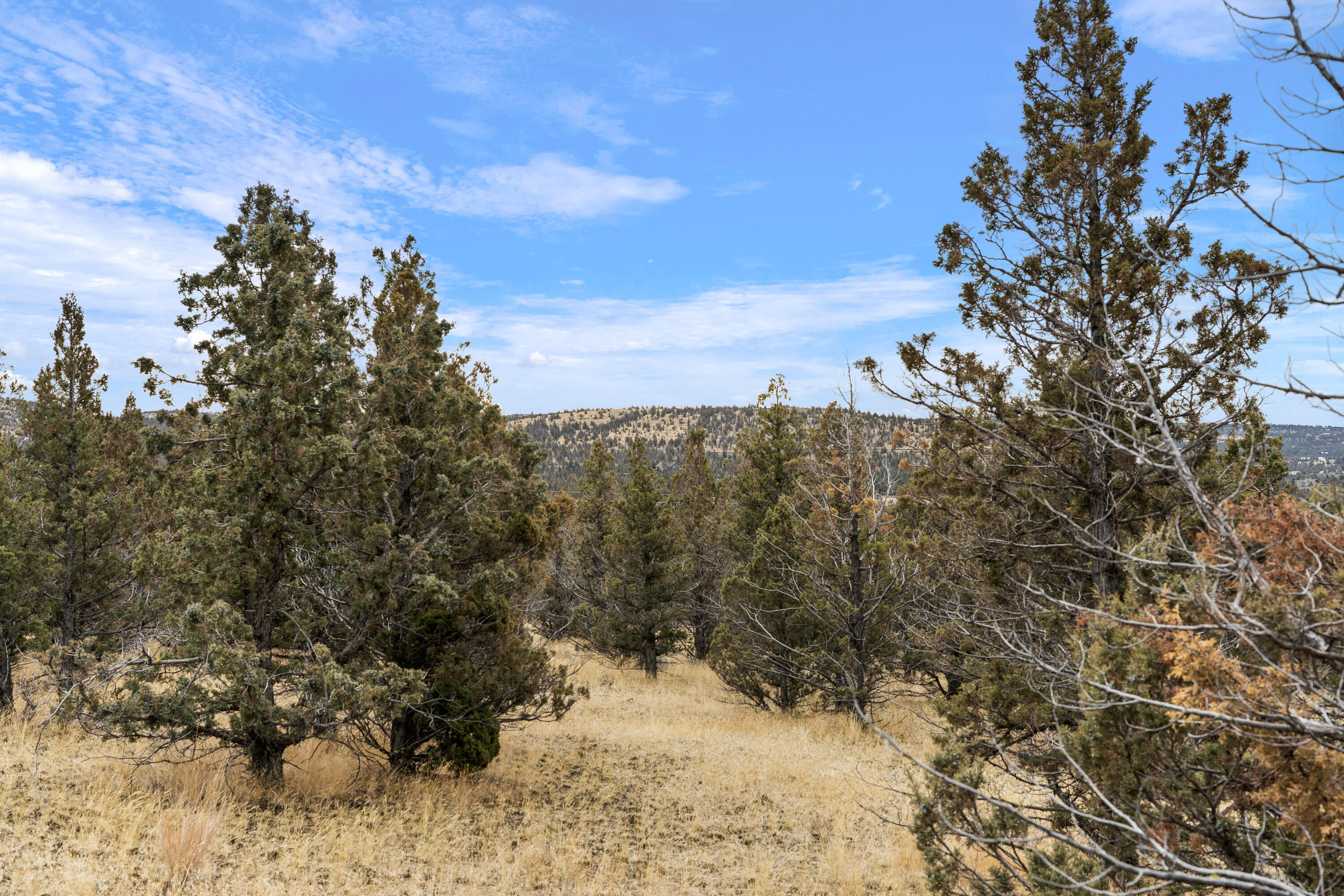 Parcel 1 SE Juniper Canyon Road
