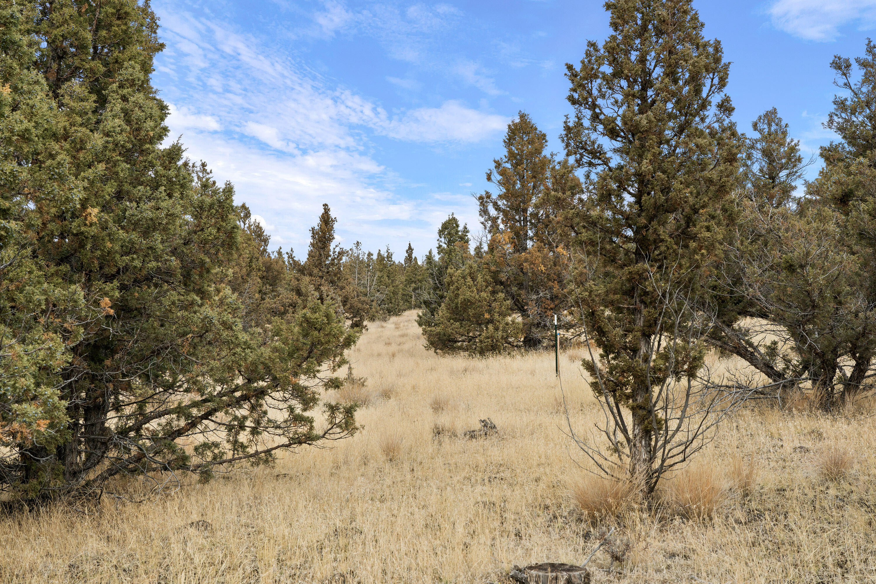 Parcel 1 SE Juniper Canyon Road