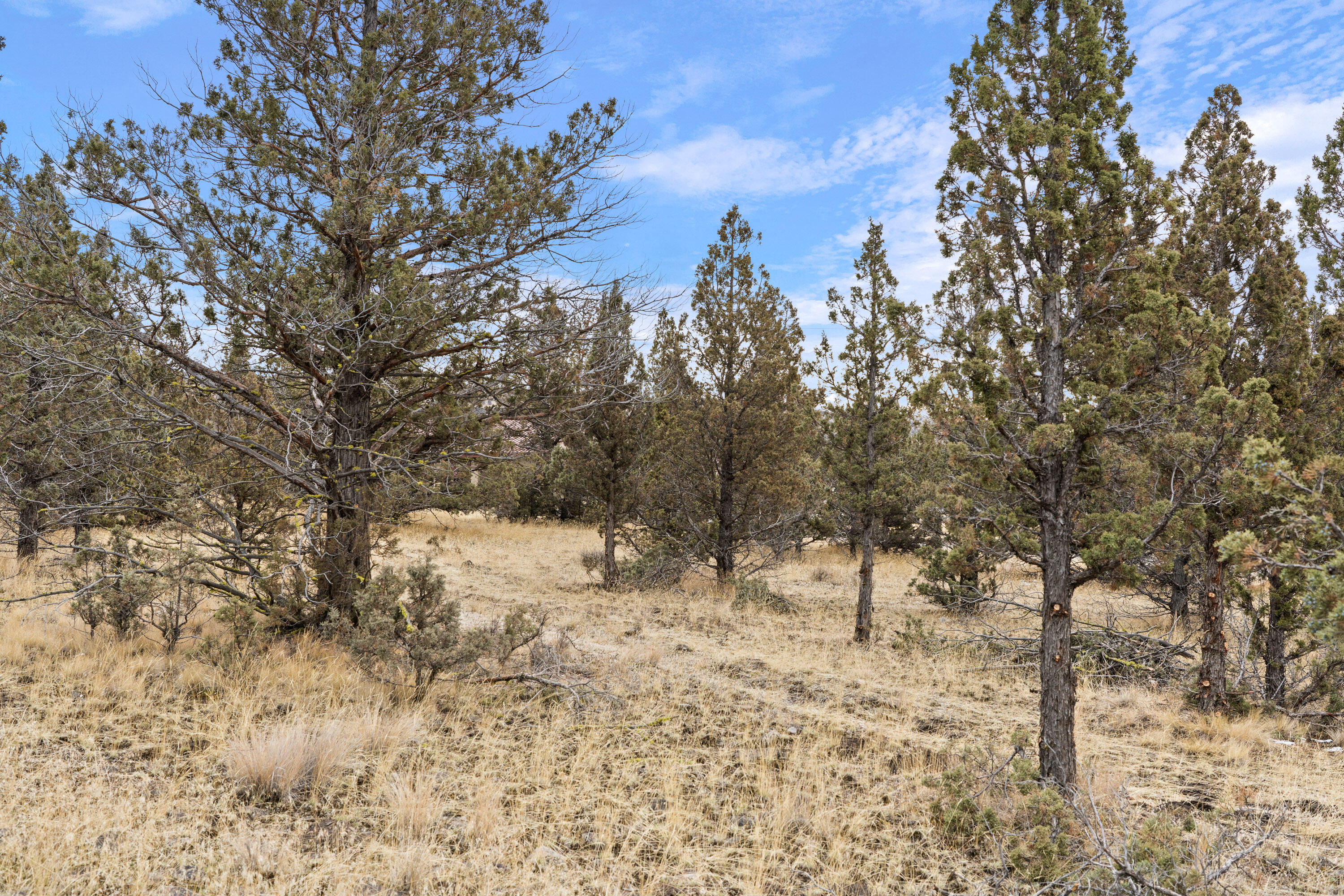 Parcel 1 SE Juniper Canyon Road