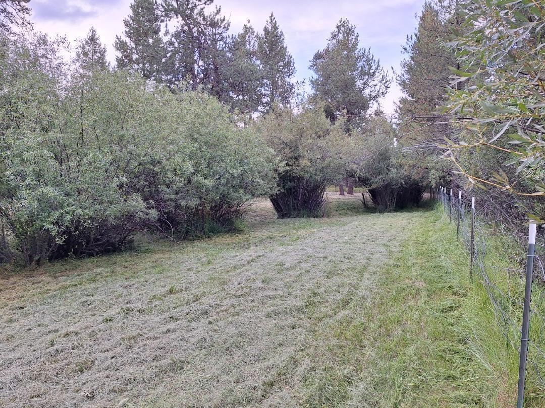 15478 Cascade Drive