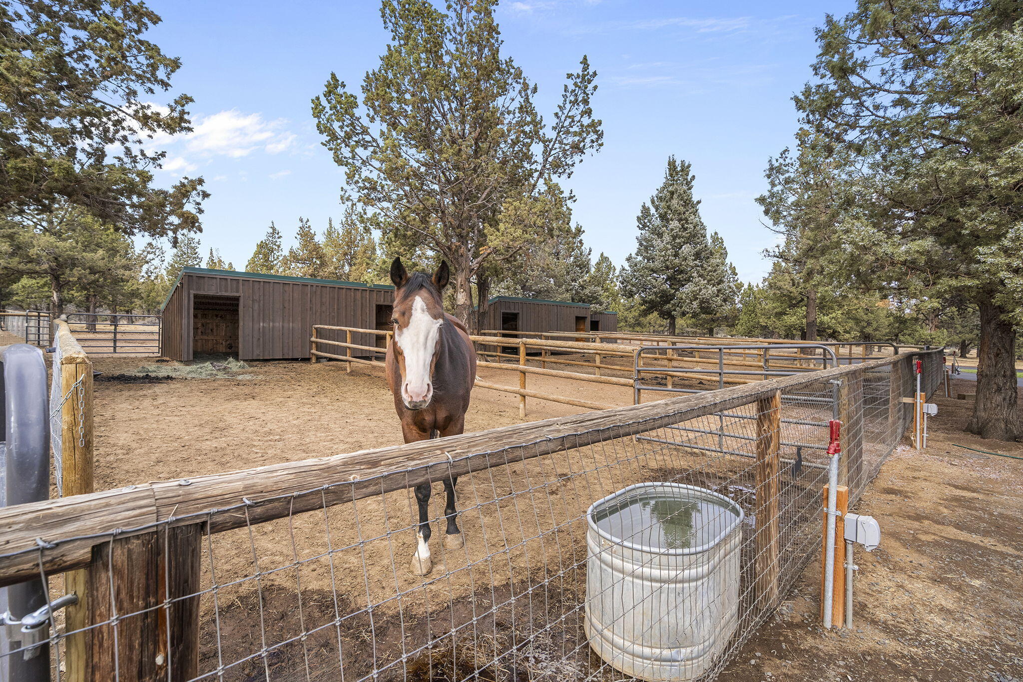 18495 Crawford Trail