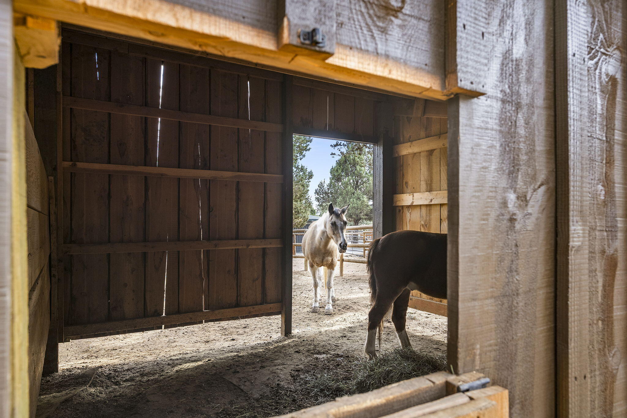 18495 Crawford Trail