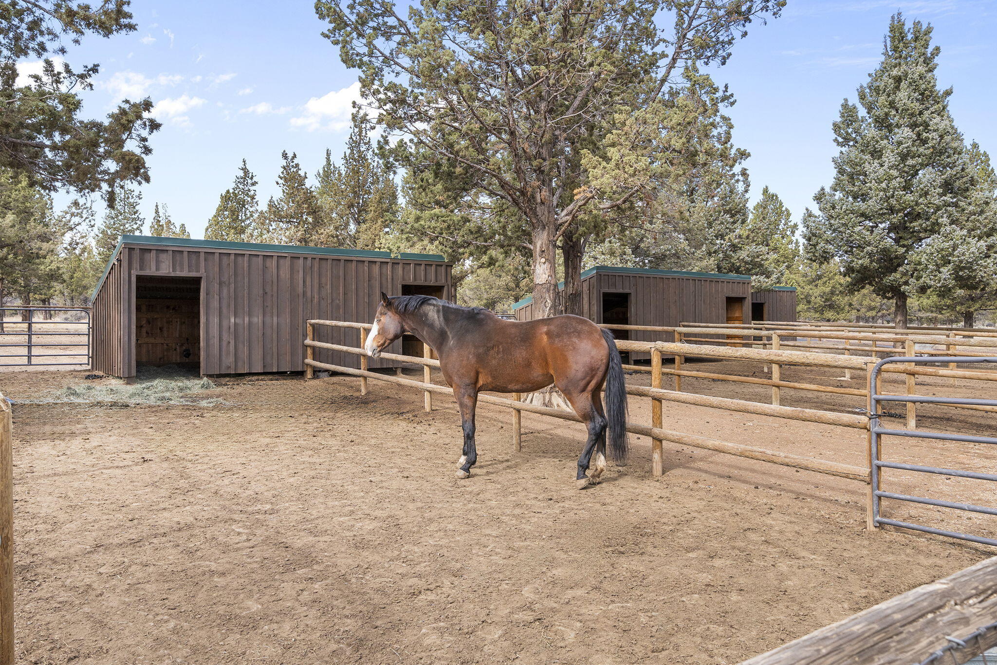 18495 Crawford Trail