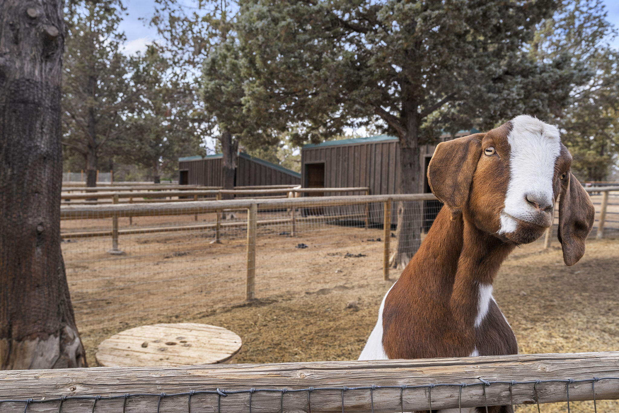 18495 Crawford Trail