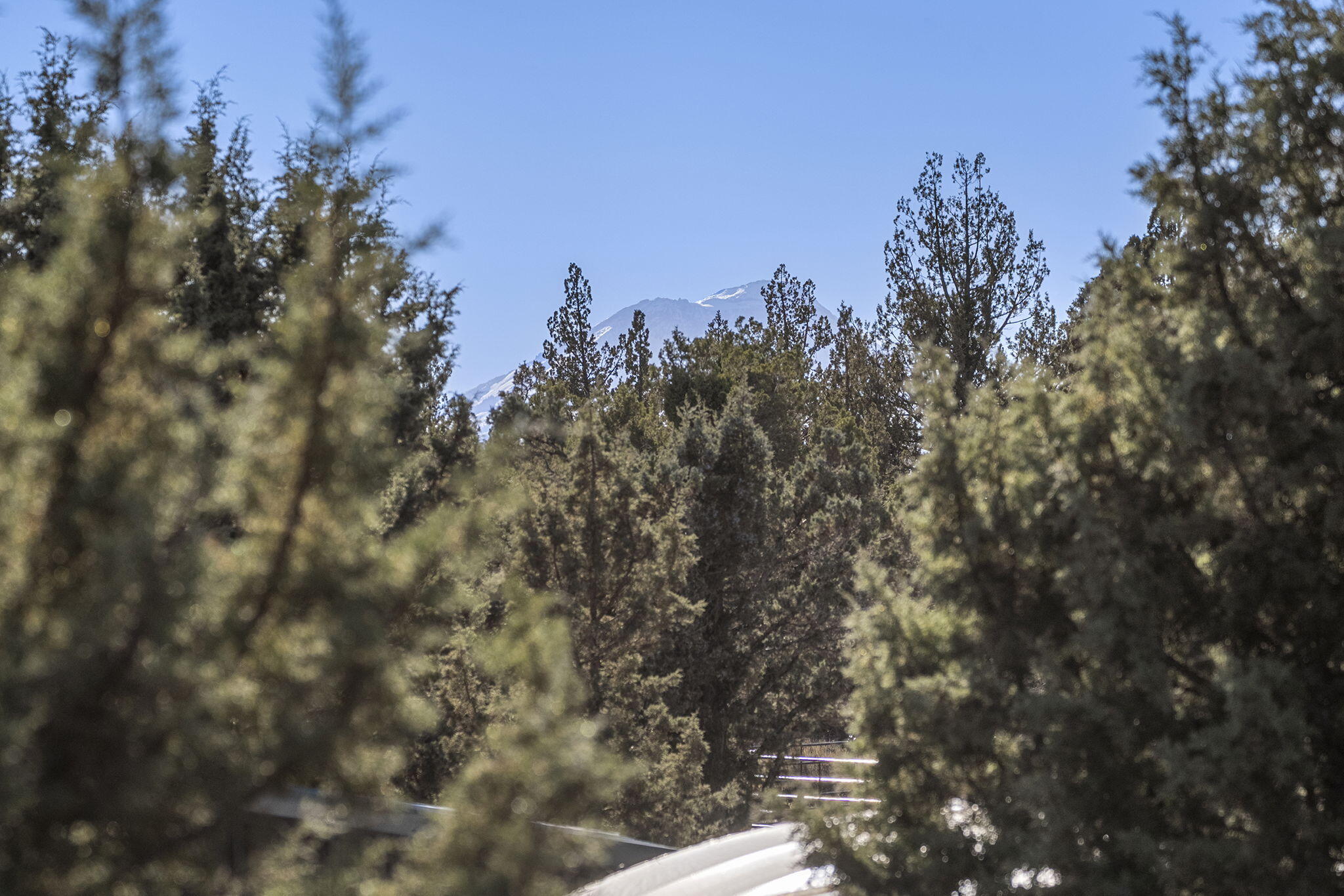 18495 Crawford Trail