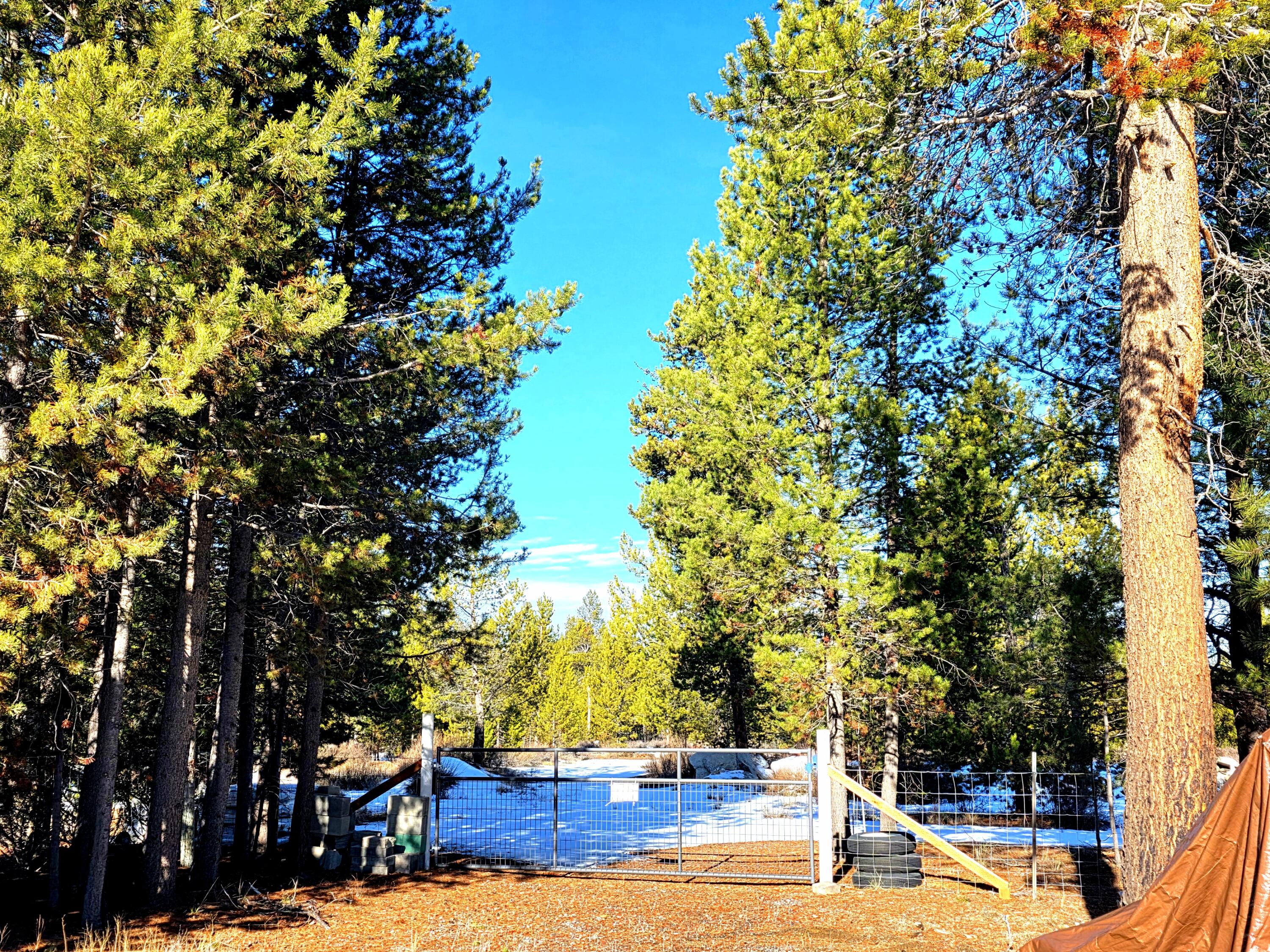 1287 Fort Jack Pine Drive