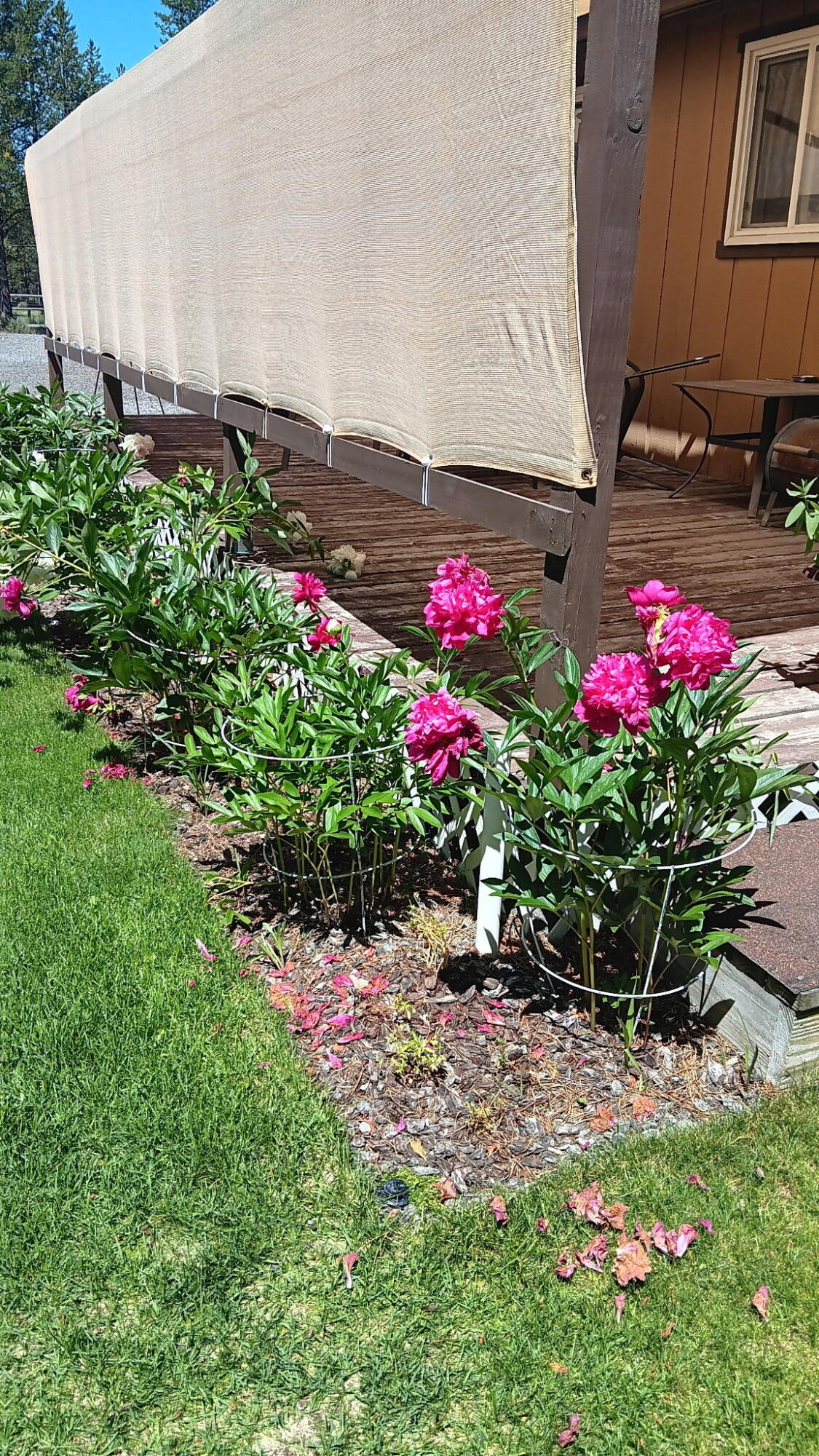 53465 Kokanee Lane