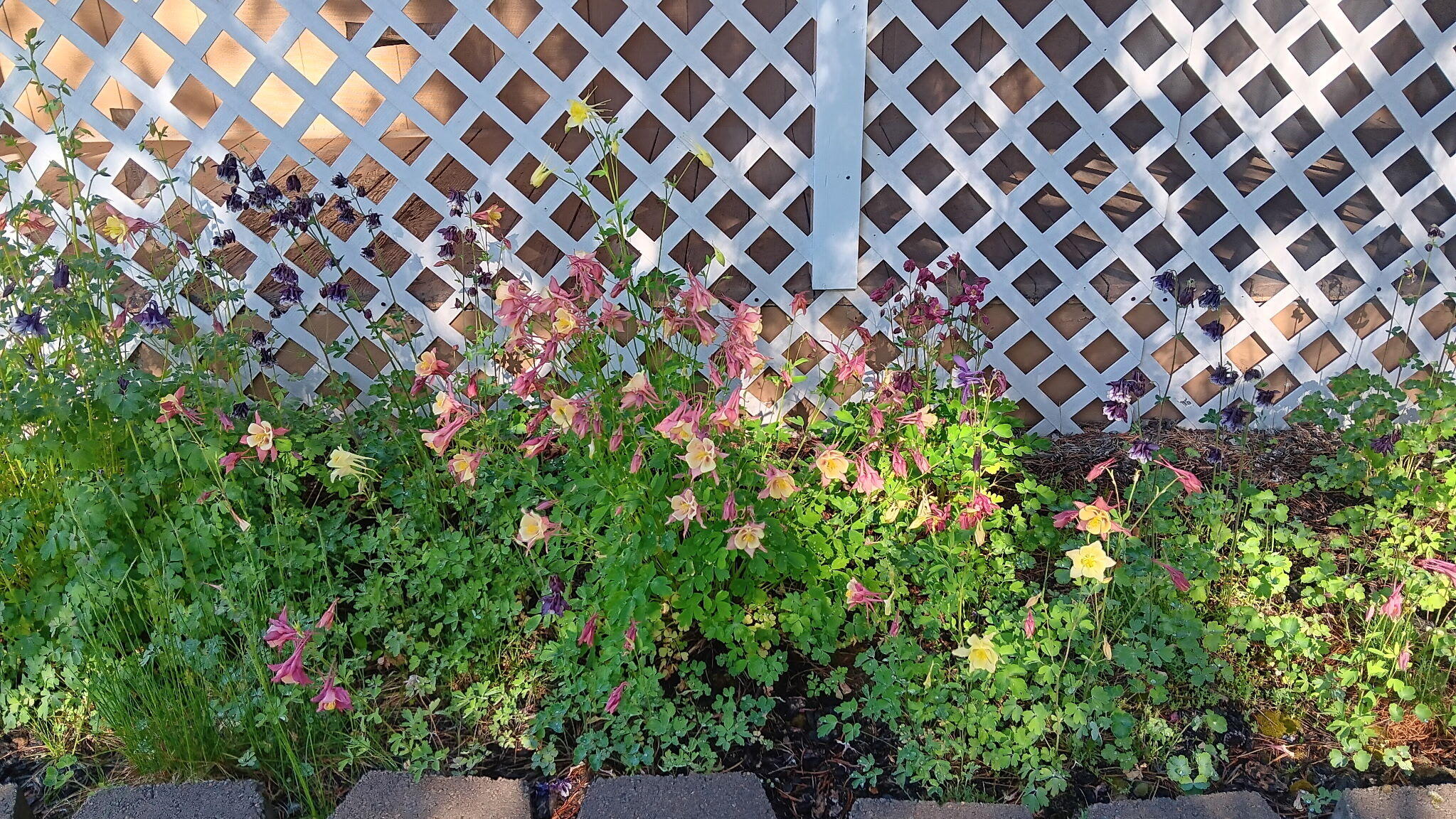 53465 Kokanee Lane
