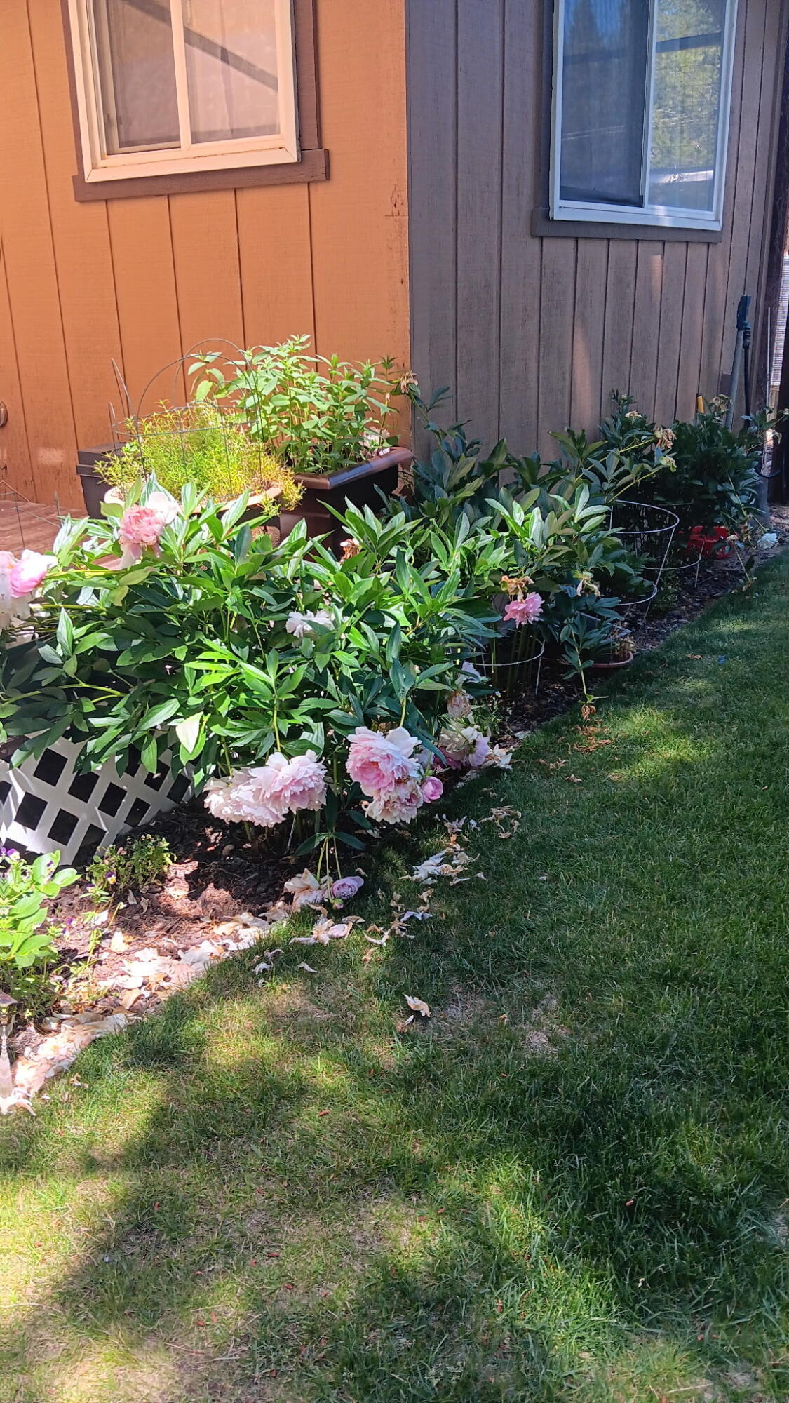 53465 Kokanee Lane