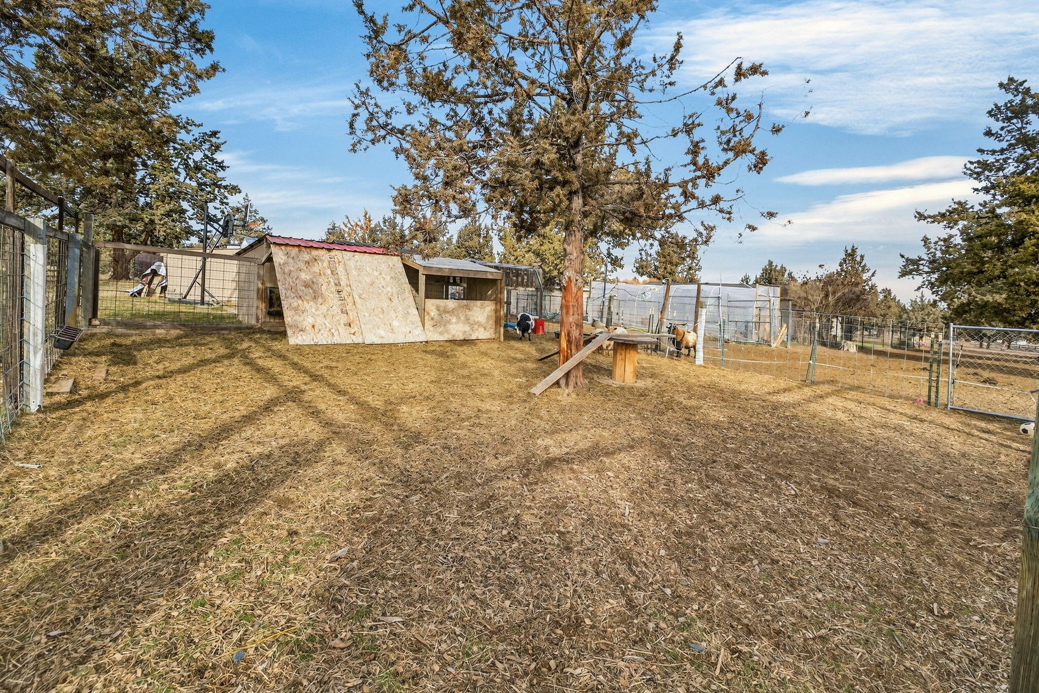 12916 SW Wheat Grass Road