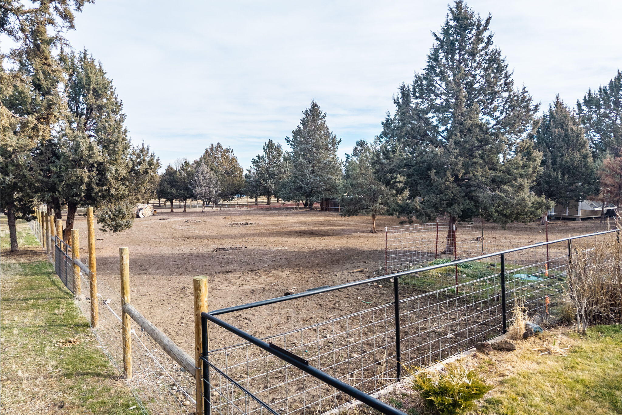 12916 SW Wheat Grass Road